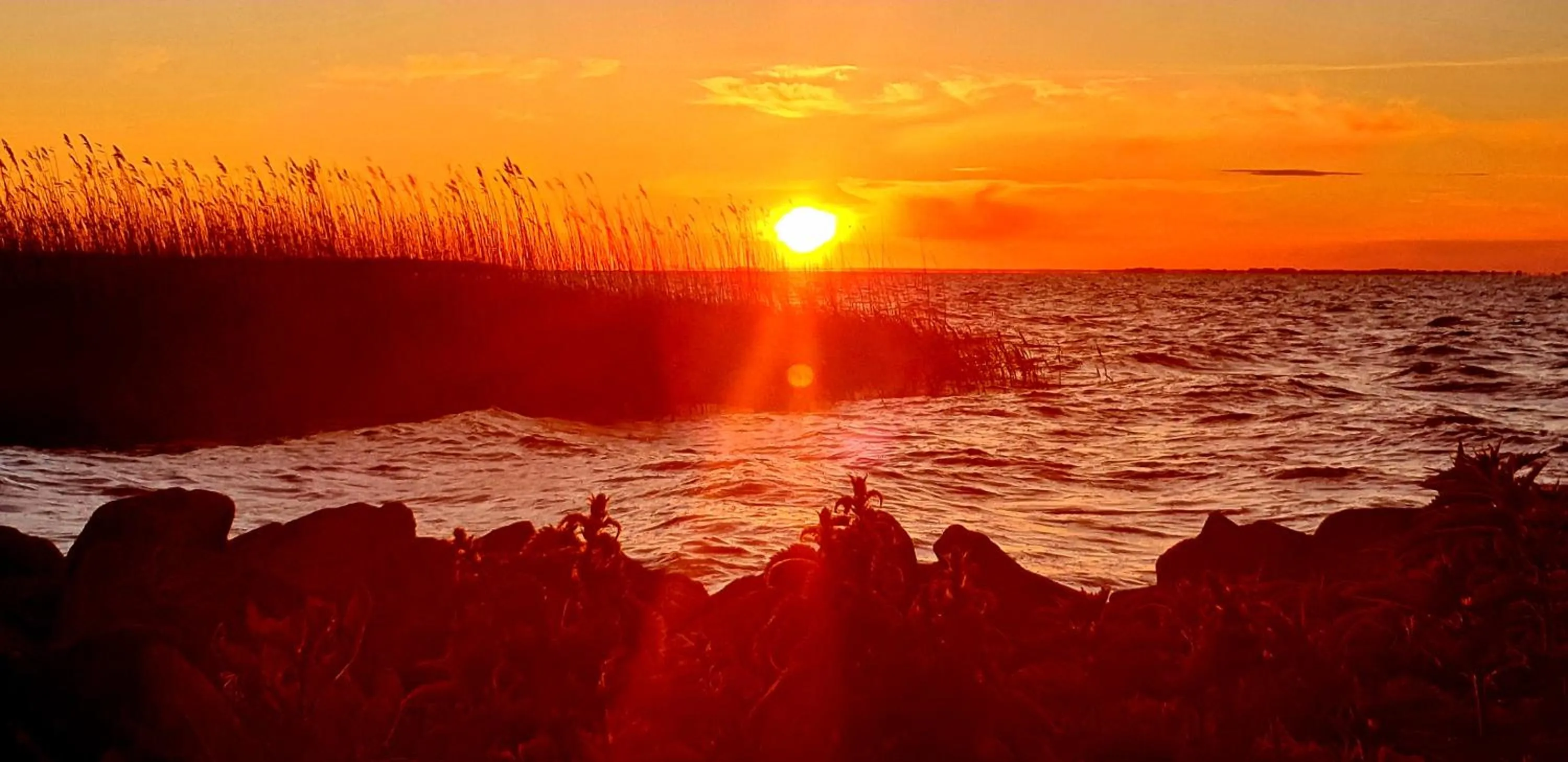 Natural landscape in Hotel Am Markt & Brauhaus Stadtkrug