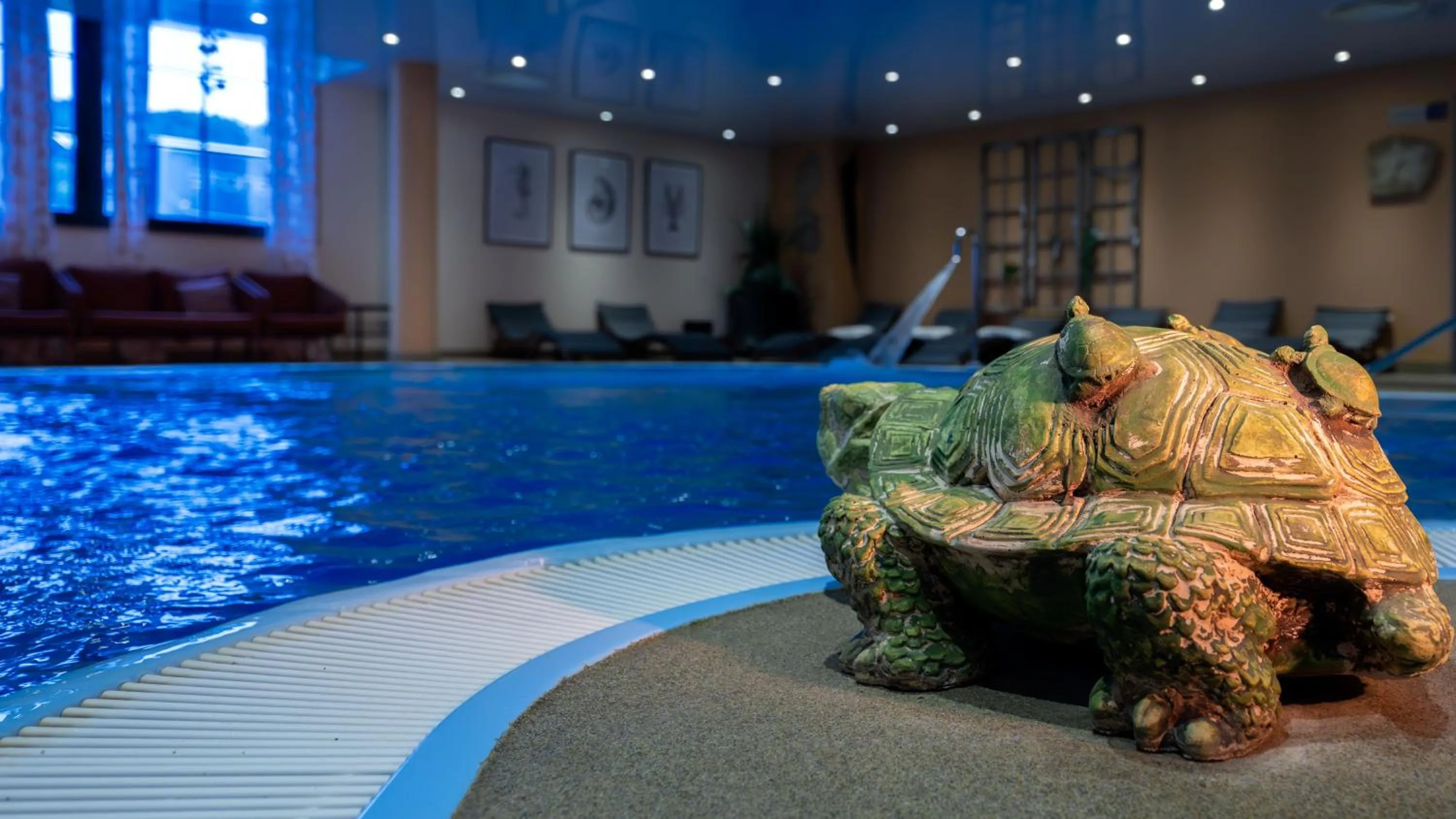 Swimming pool in Zeitgeist Rathen by STEIGER Hotels