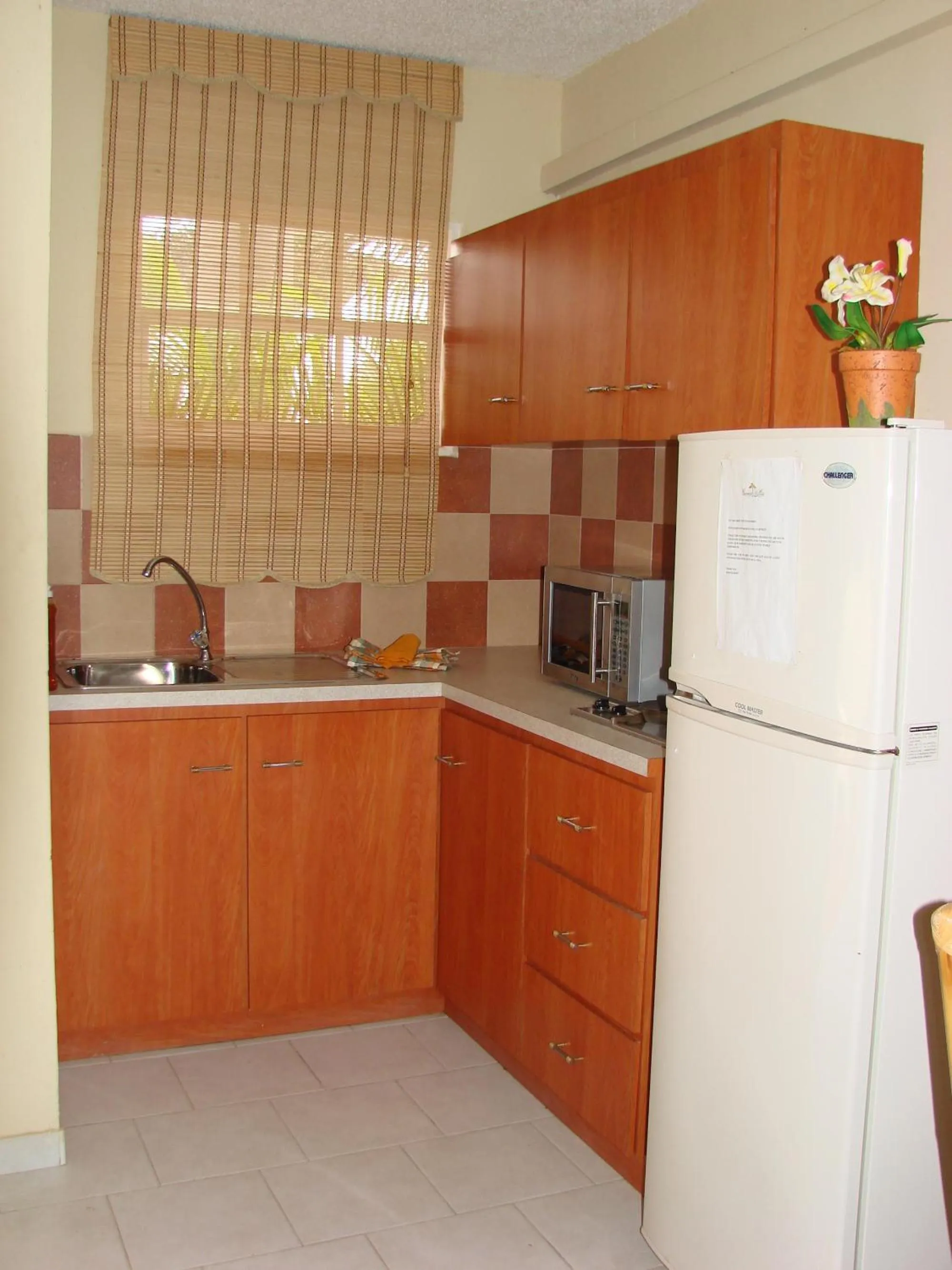 Kitchen or kitchenette in Cunucu Villas - Aruba Tropical Garden Apartments