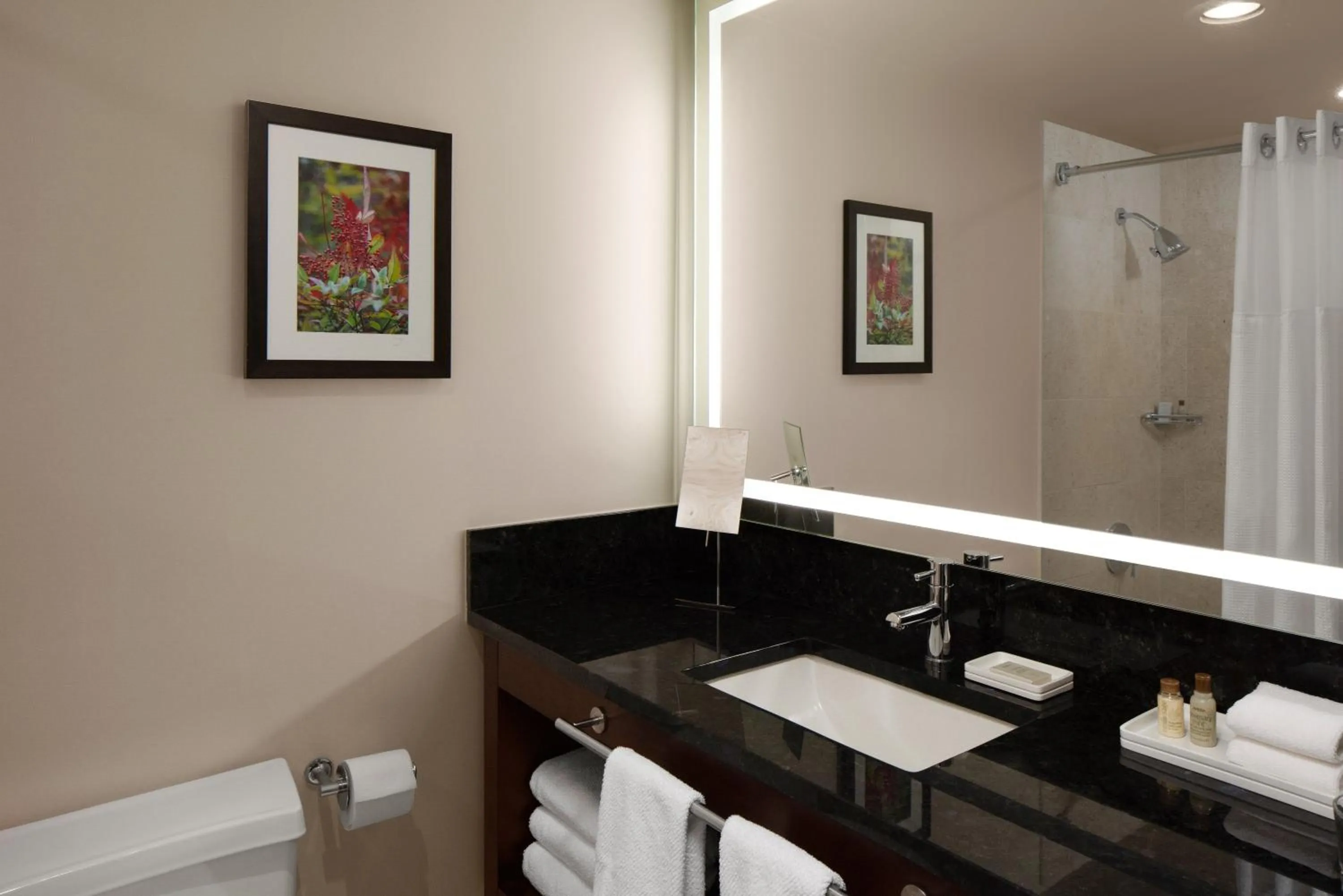 Toilet in Renaissance Seattle Hotel