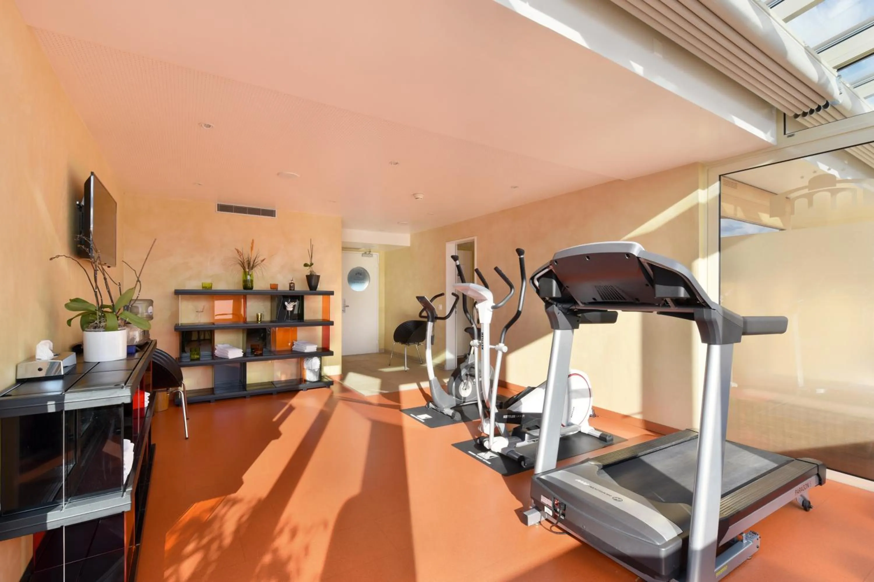 Fitness centre/facilities in Astra Vevey Hotel & Restaurant