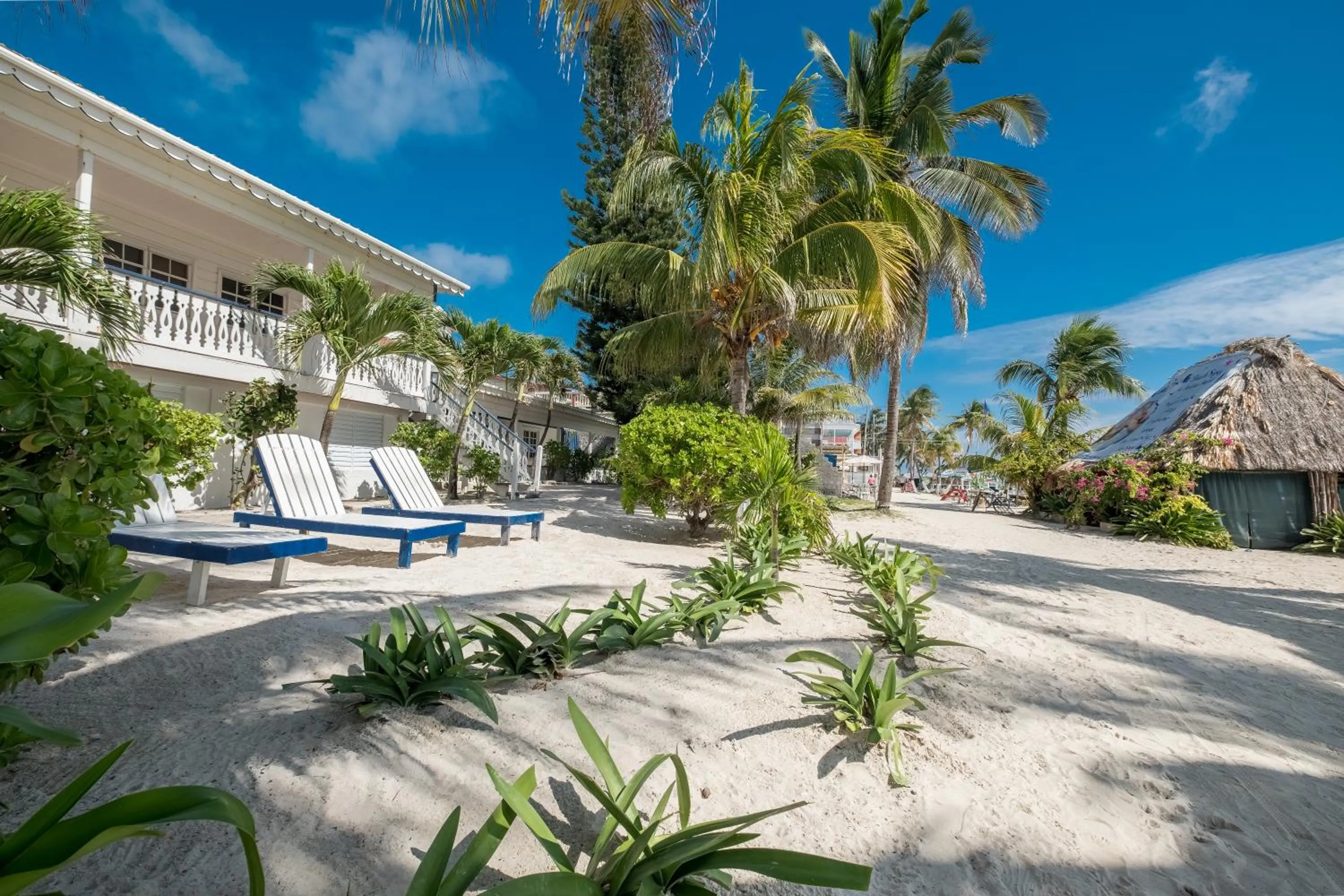 Property building in Holiday Hotel