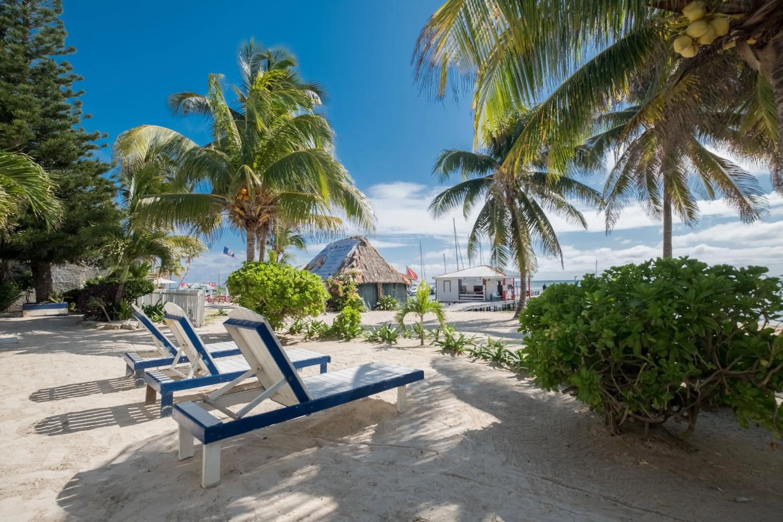 Patio in Holiday Hotel