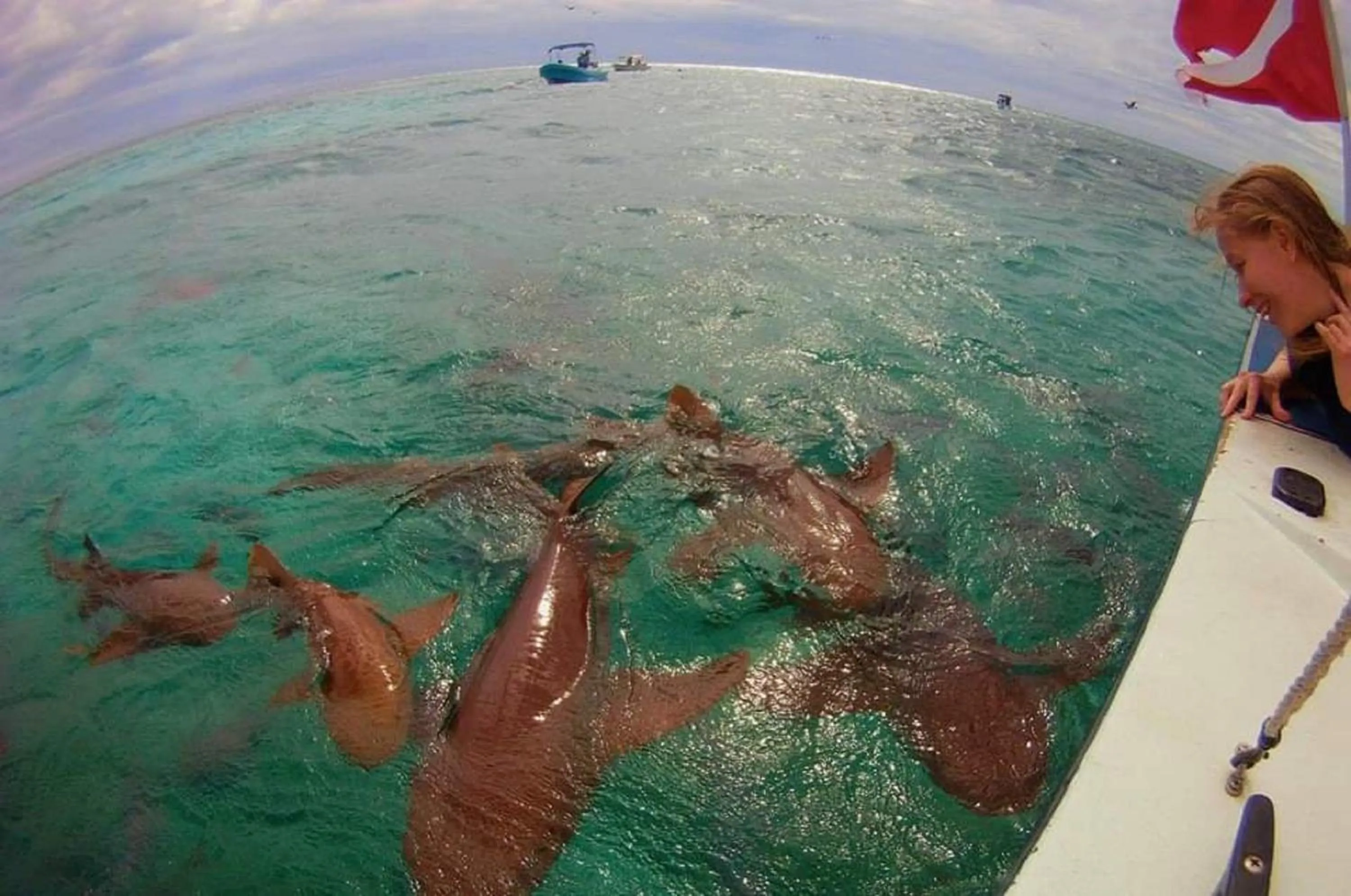 Snorkeling in Ocean Tide Beach Resort
