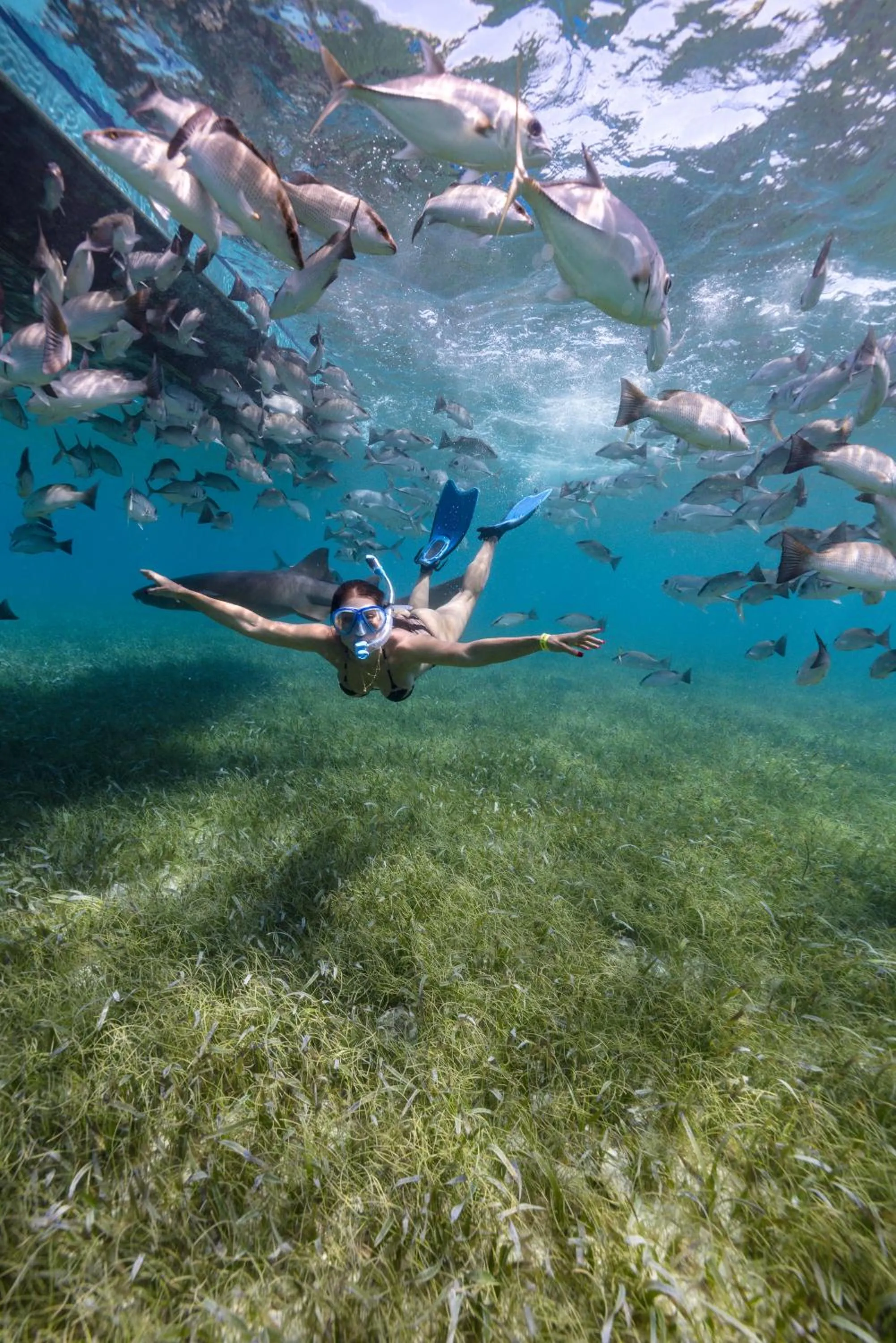 Activities in Ocean Tide Beach Resort