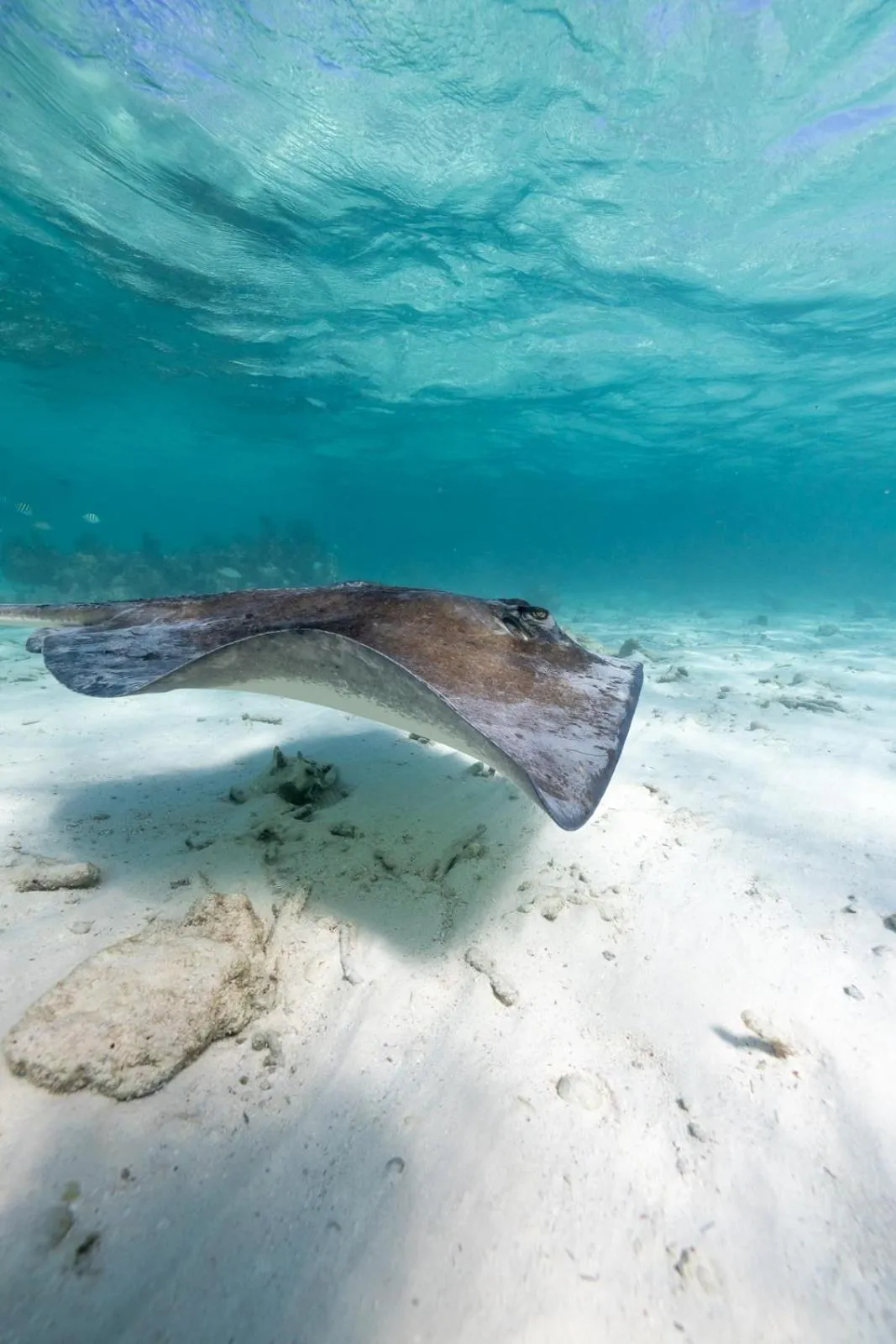 Activities in Ocean Tide Beach Resort