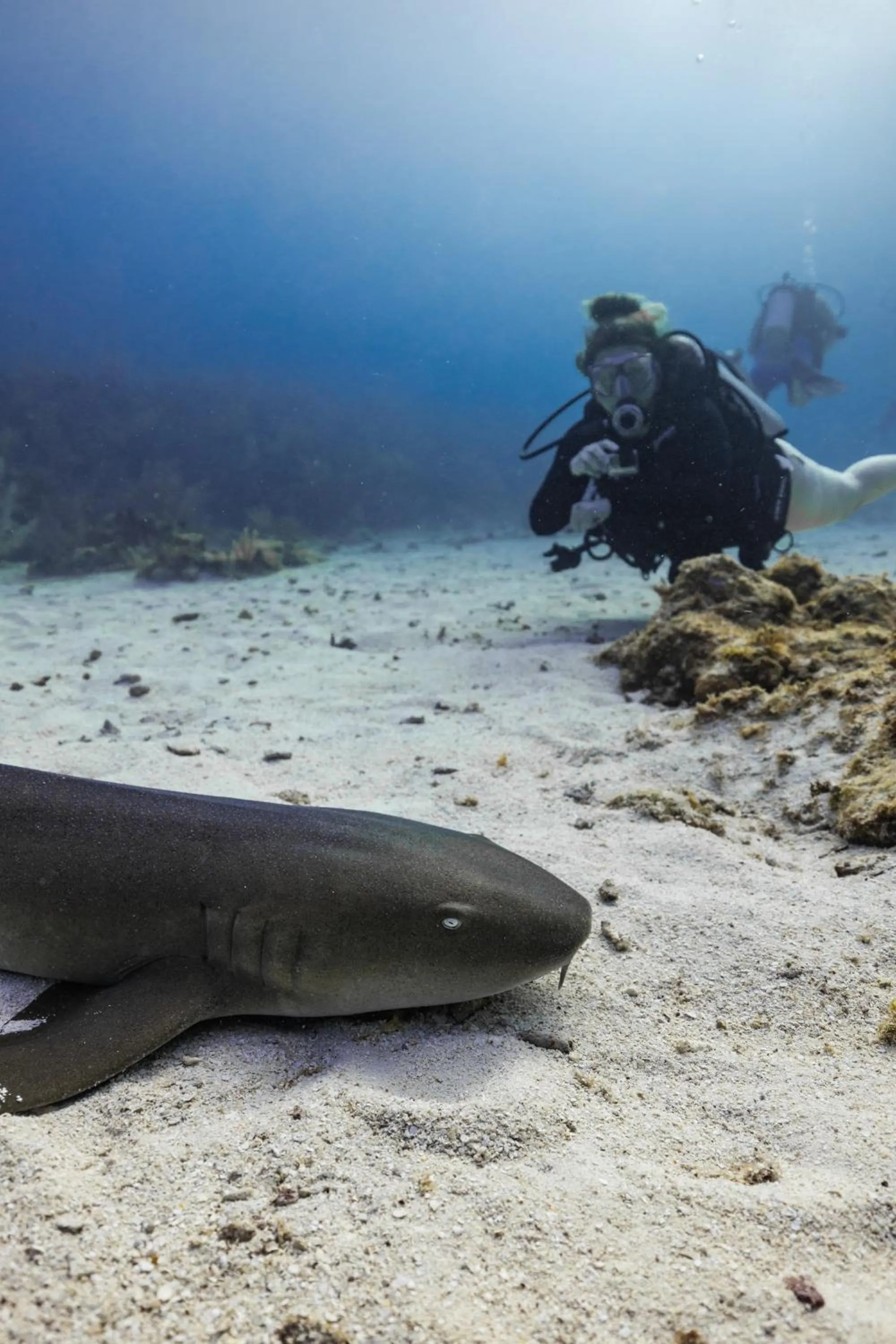 Activities in Ocean Tide Beach Resort