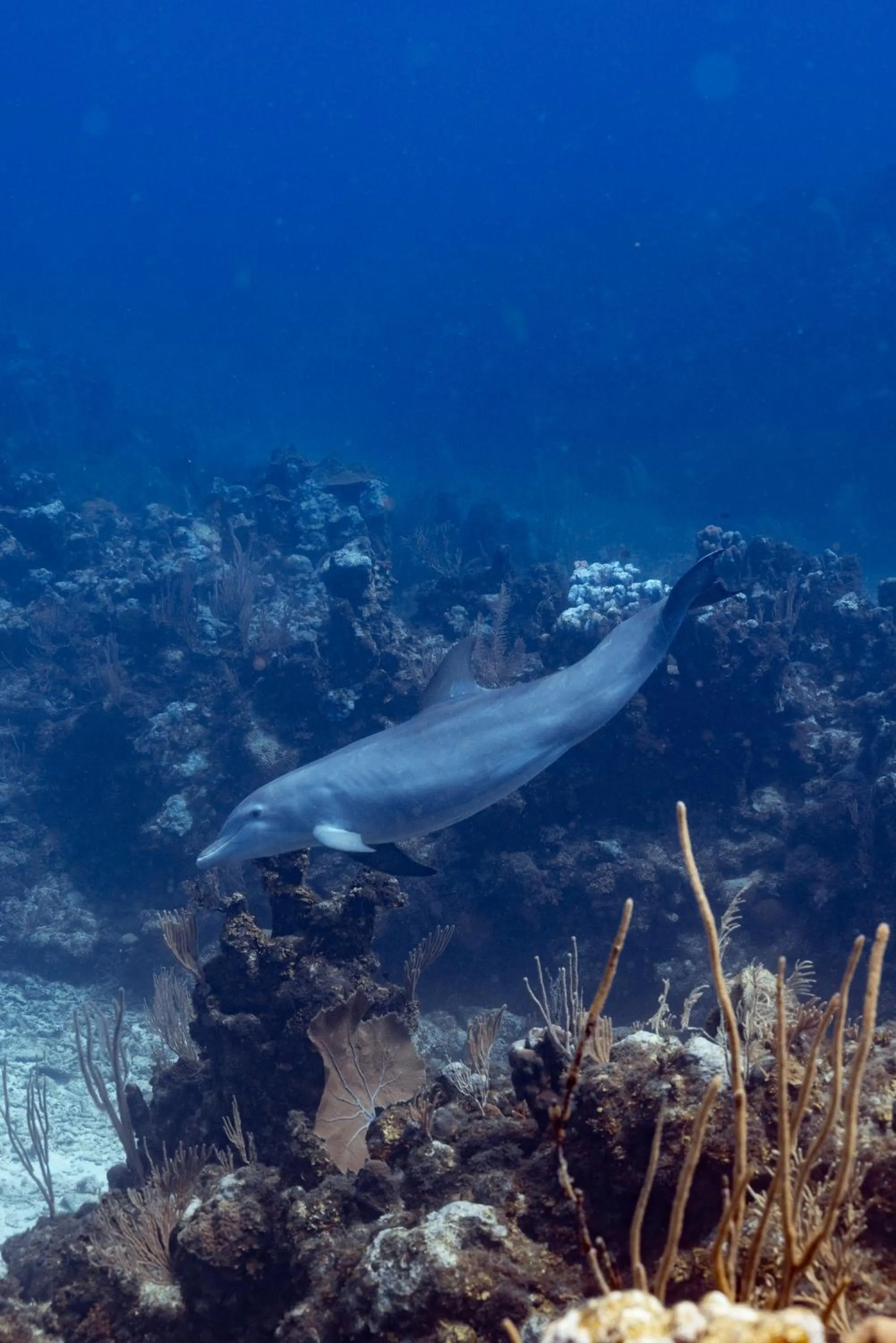 Natural landscape in Ocean Tide Beach Resort