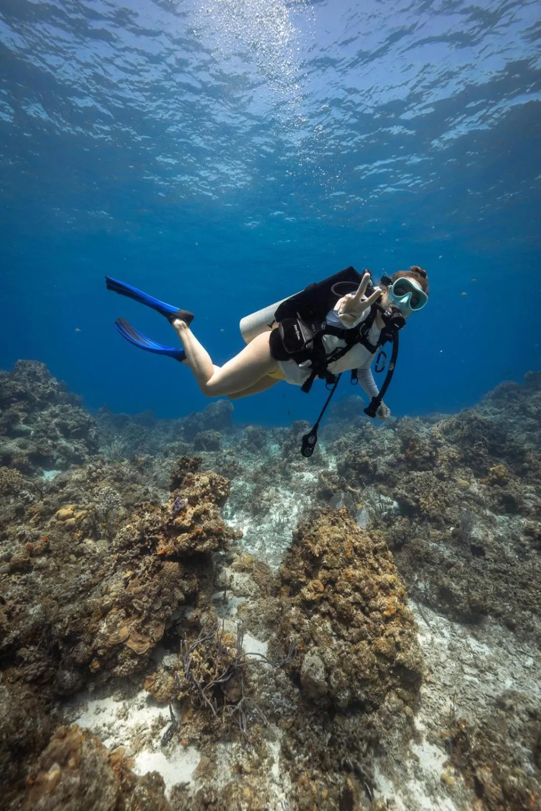 Natural landscape in Ocean Tide Beach Resort