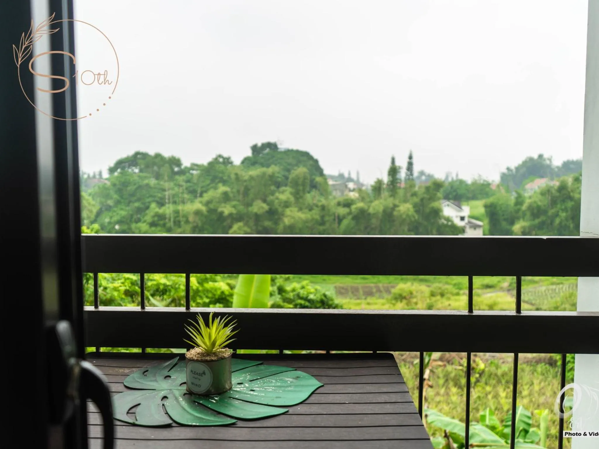 Summer10th Pinesuites Scandi Minimalist Deluxe