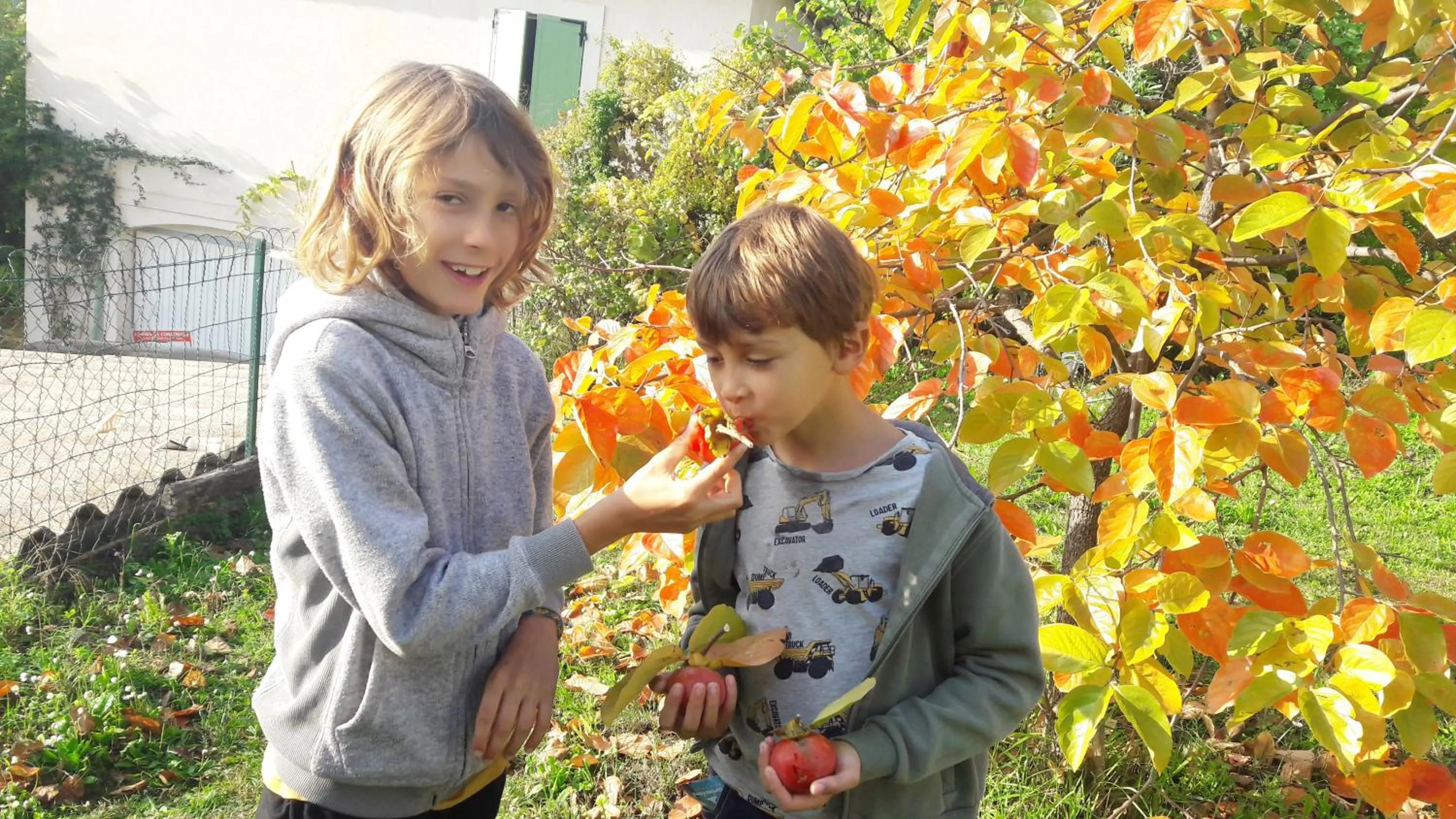 Garden in Holidays In Provence Alpes Maritimes