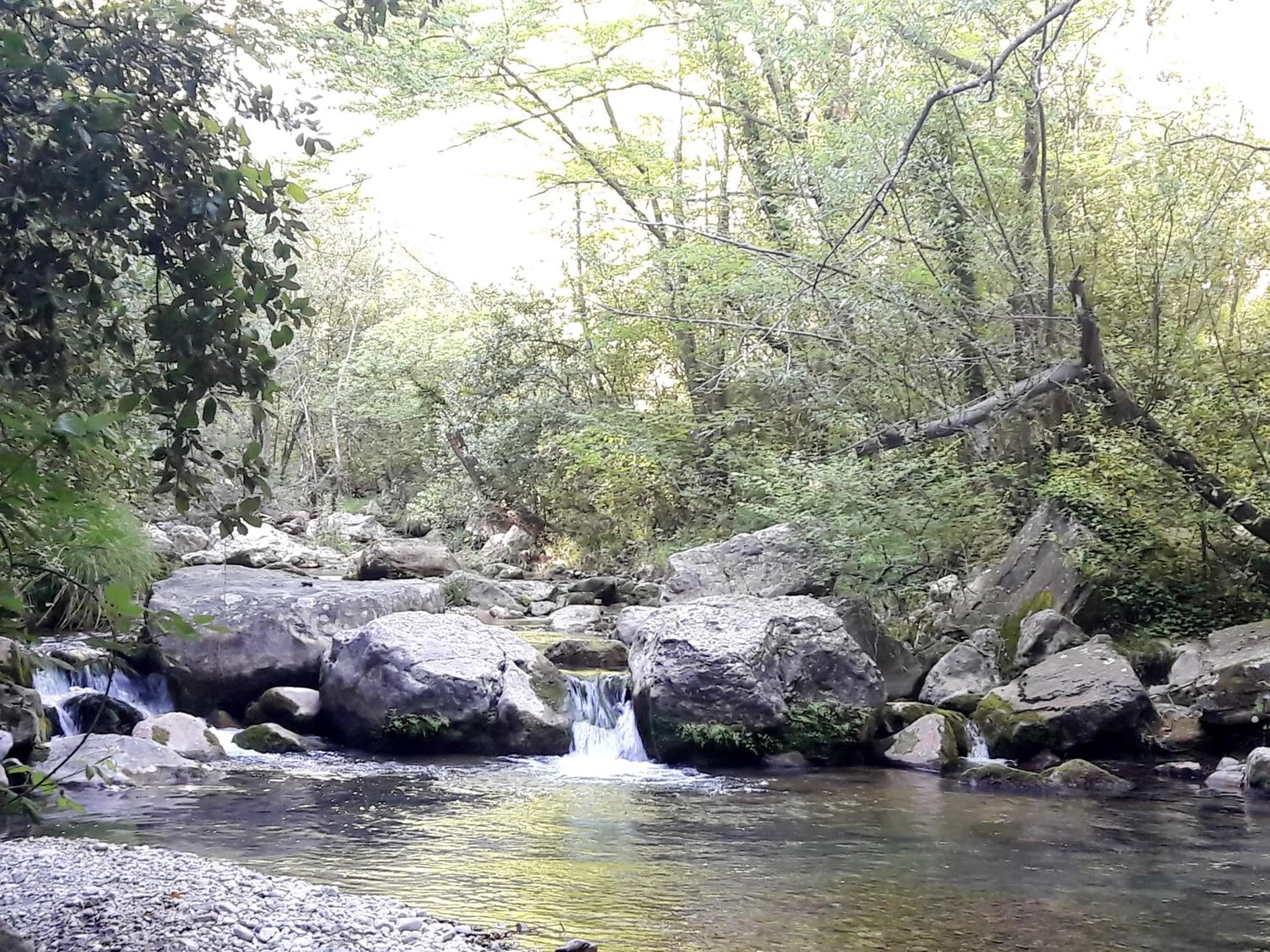 Other in Holidays In Provence Alpes Maritimes