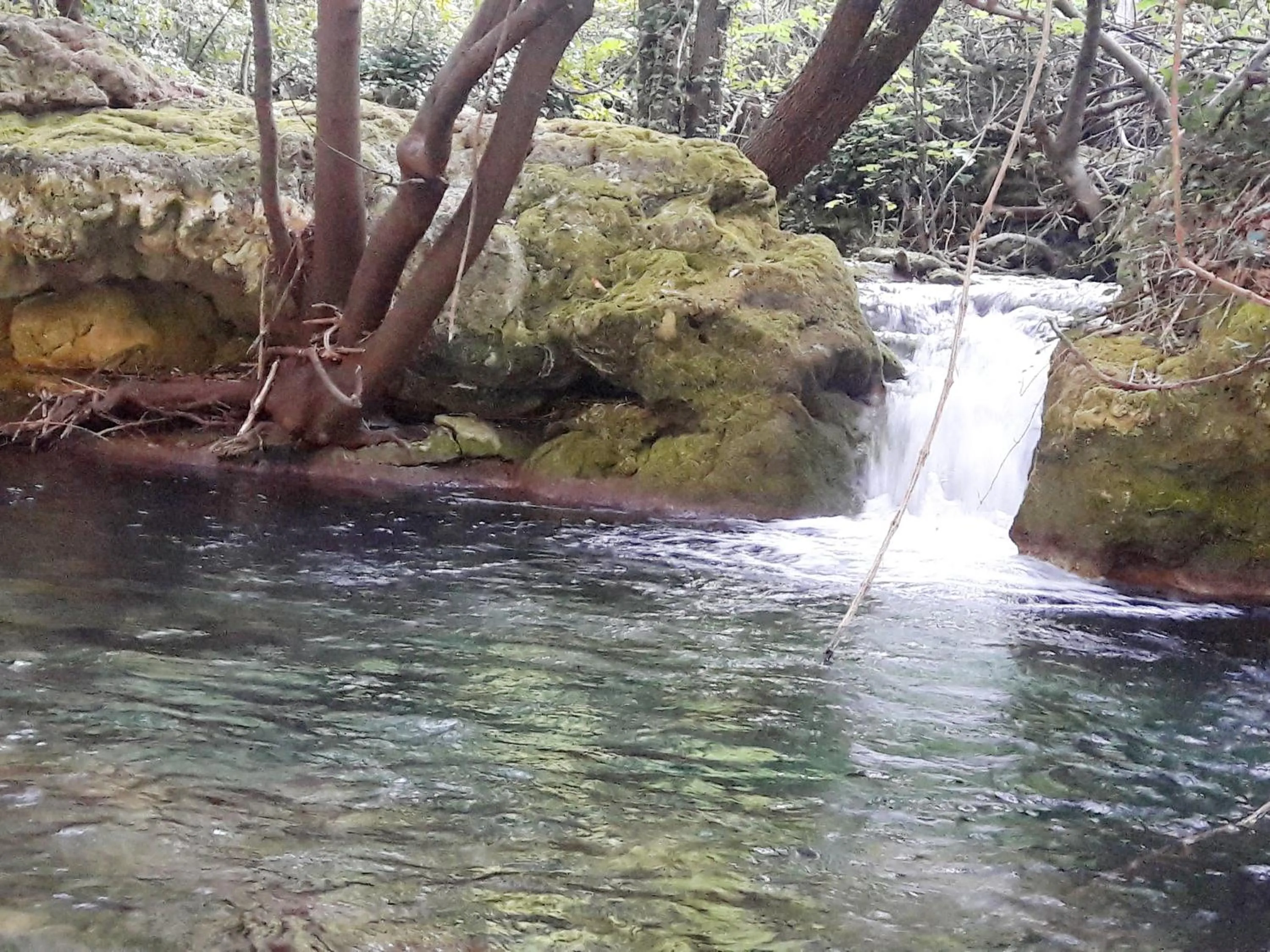 Other in Holidays In Provence Alpes Maritimes