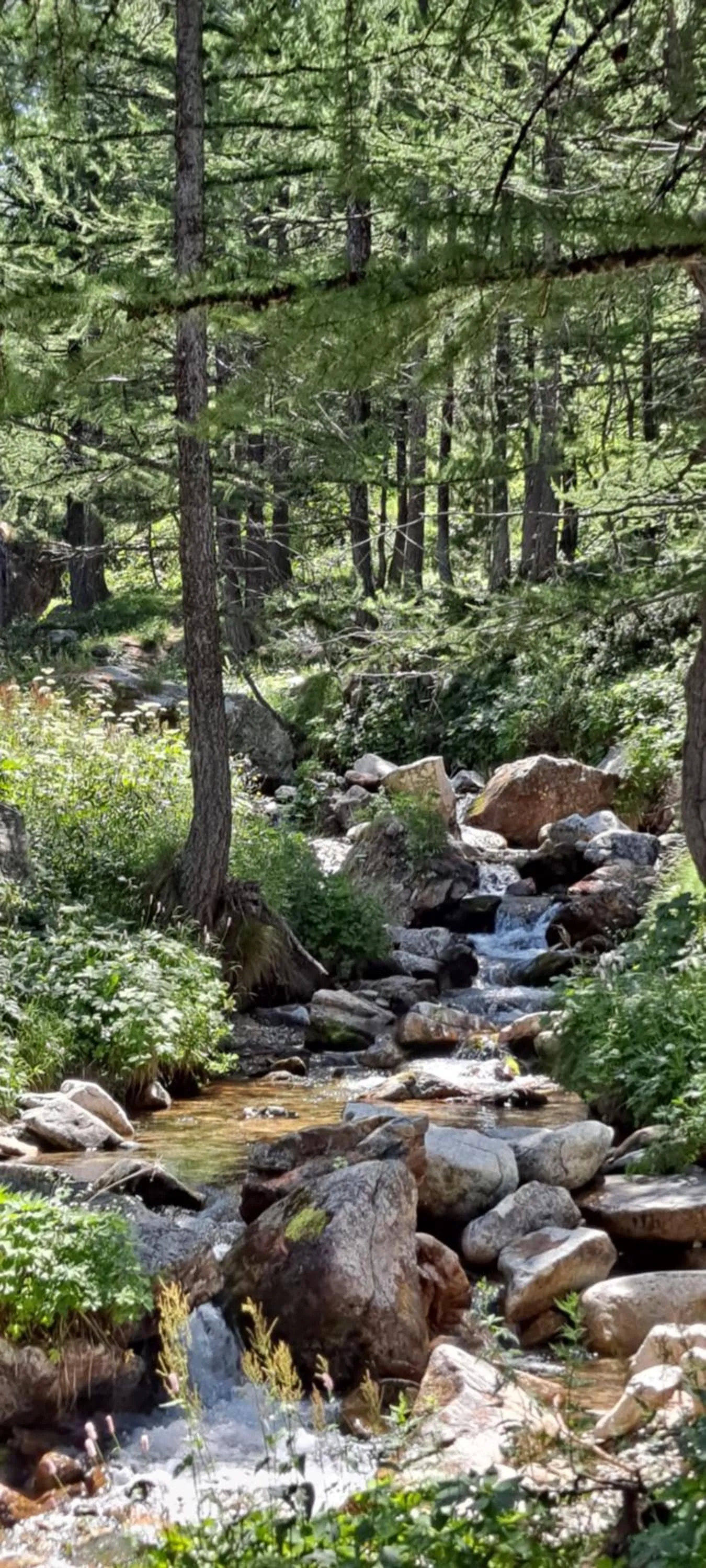 Other in Holidays In Provence Alpes Maritimes