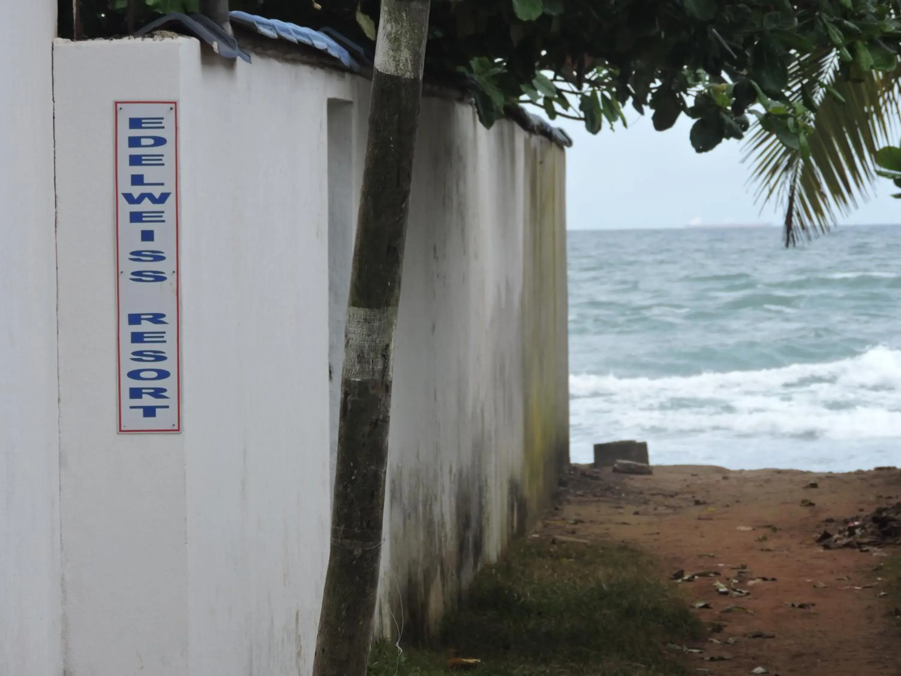 Property building in Edelweiss Resort Property building in Edelweiss Resort