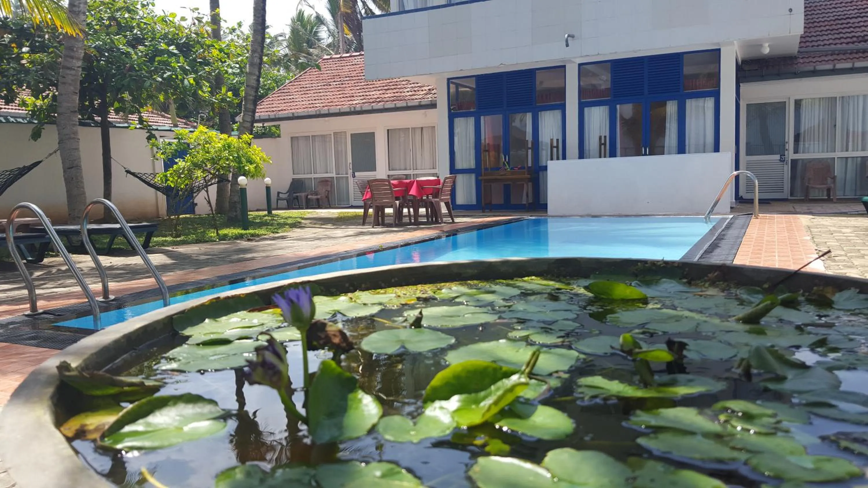Swimming pool in Edelweiss Resort