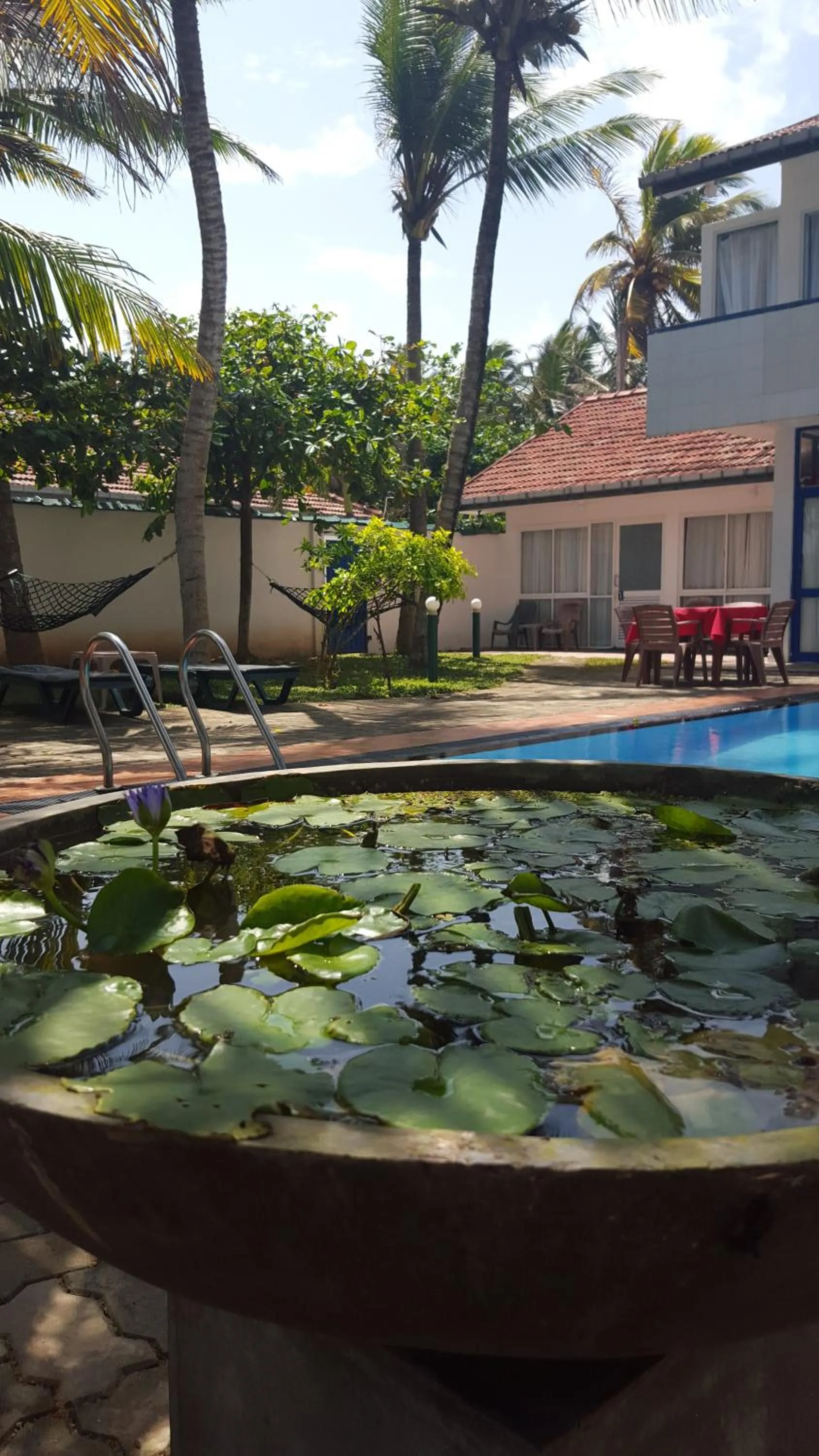 Garden in Edelweiss Resort