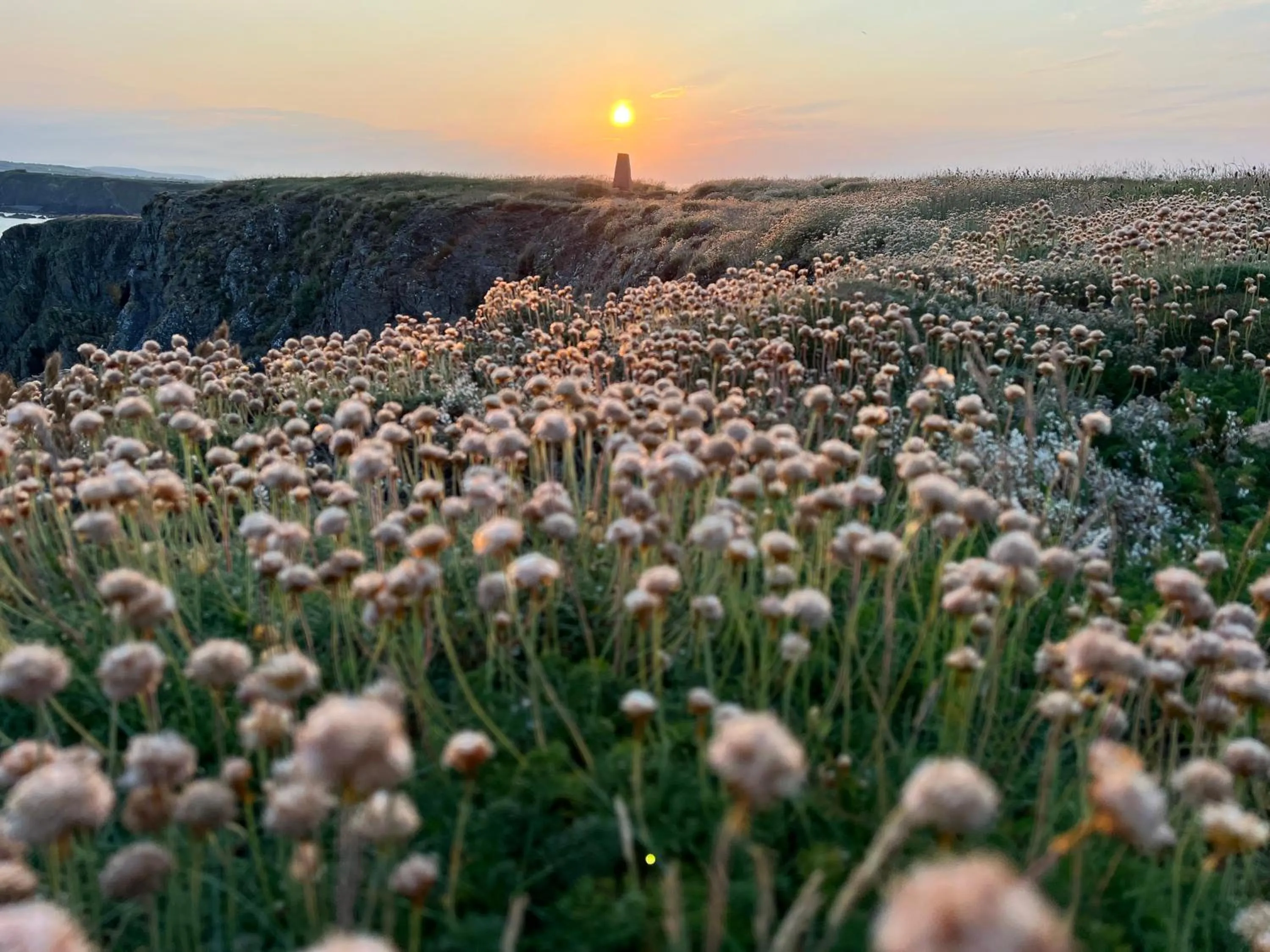 Other in Thistledown Lodge