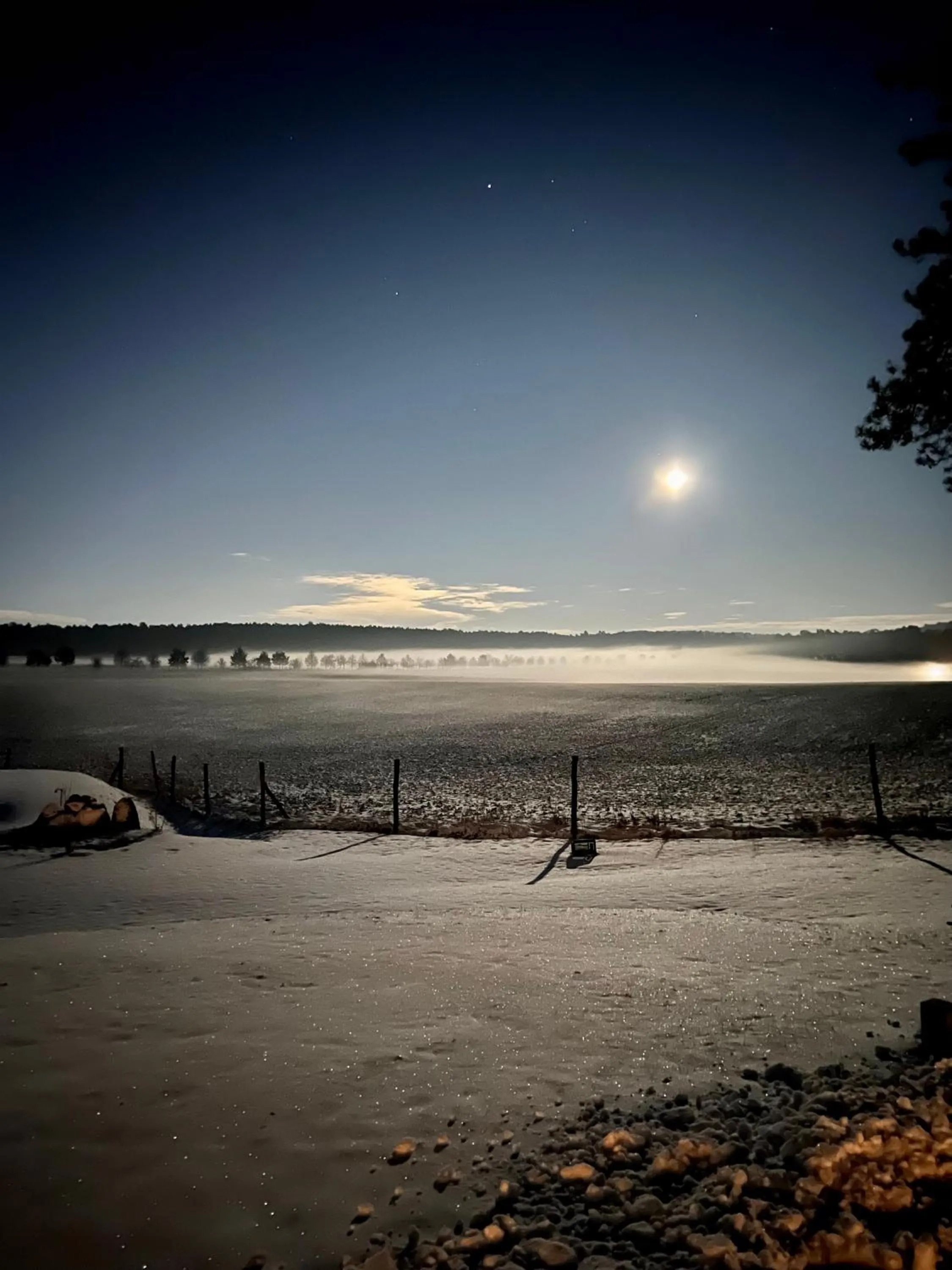 Natural landscape in Hotel Zur Linde Dein Self Check In