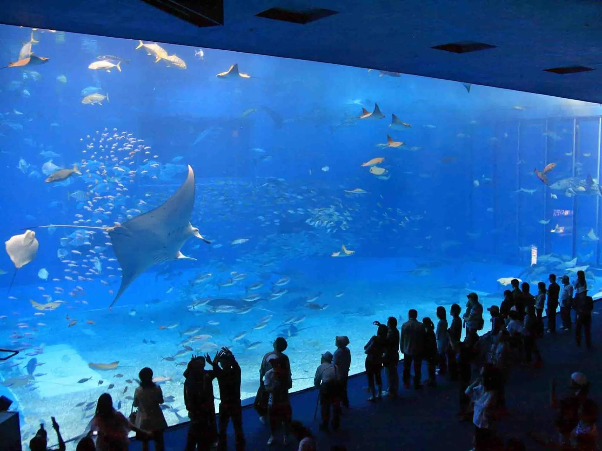 Location in Southern Village Okinawa