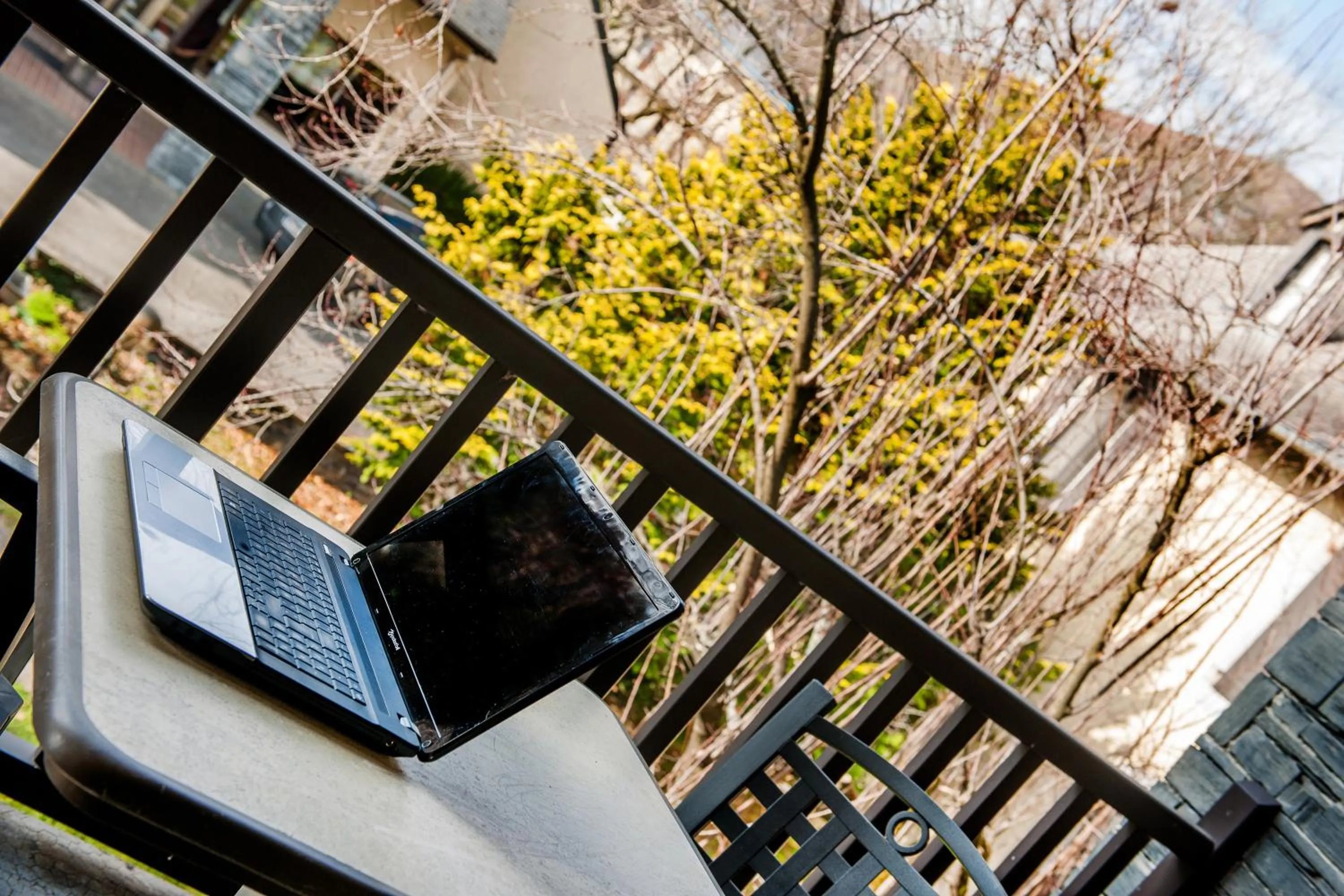 Day in Les Gentianes