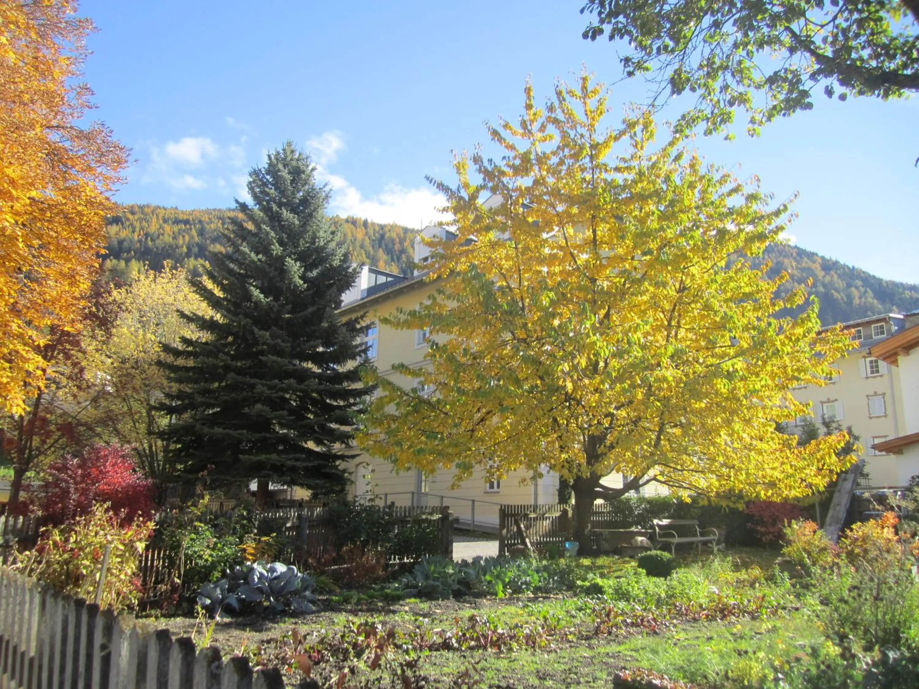 Garden view in Residence Zum Theater