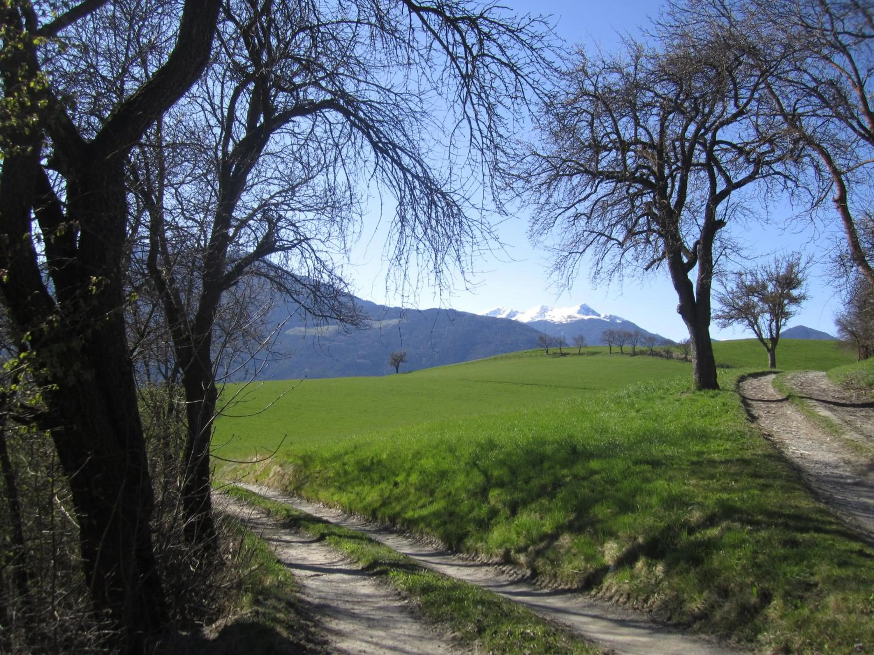 Spring in Residence Zum Theater