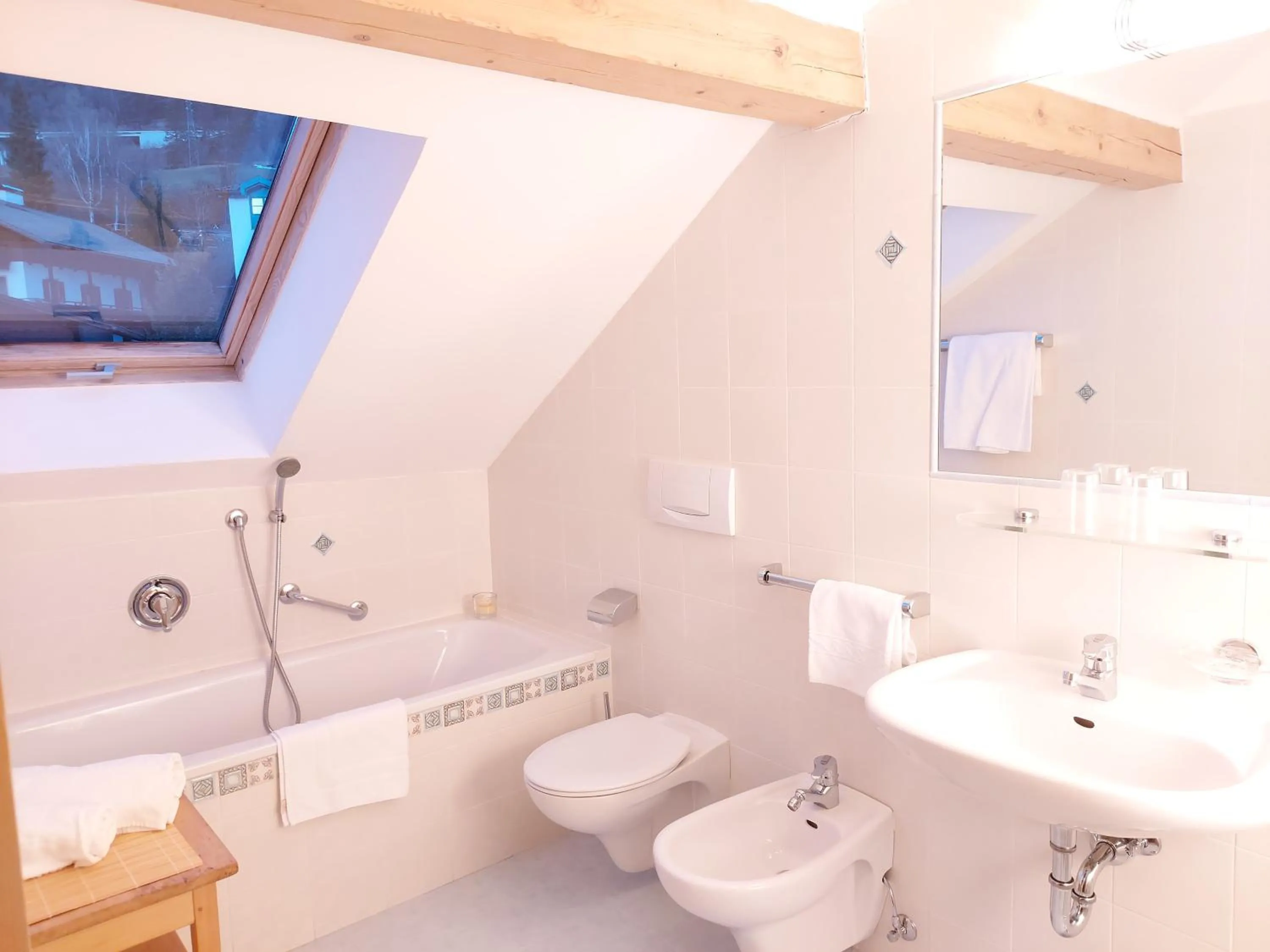 Toilet in Residence Zum Theater