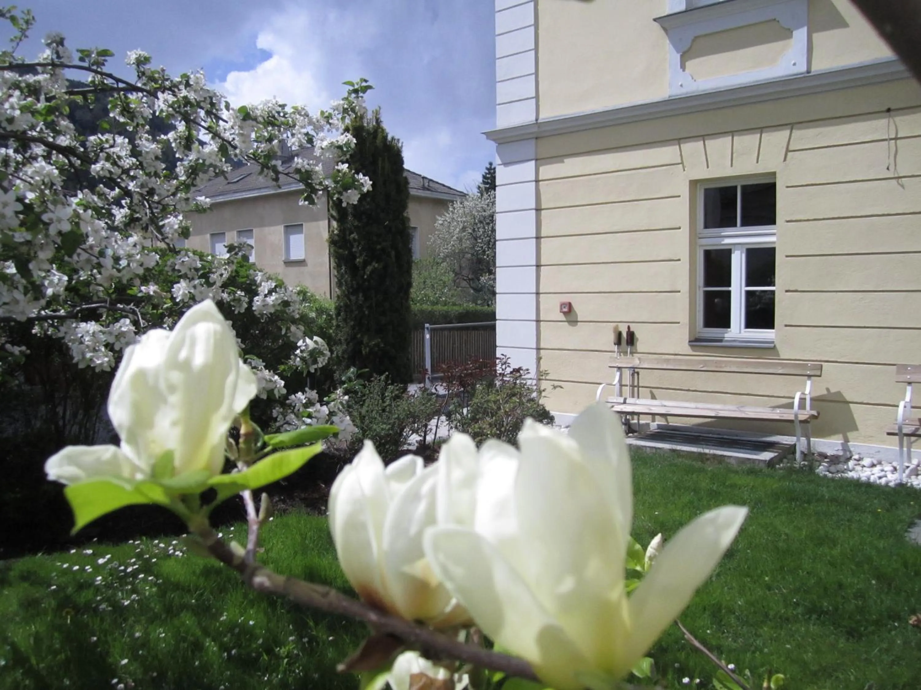 Property building in Residence Zum Theater