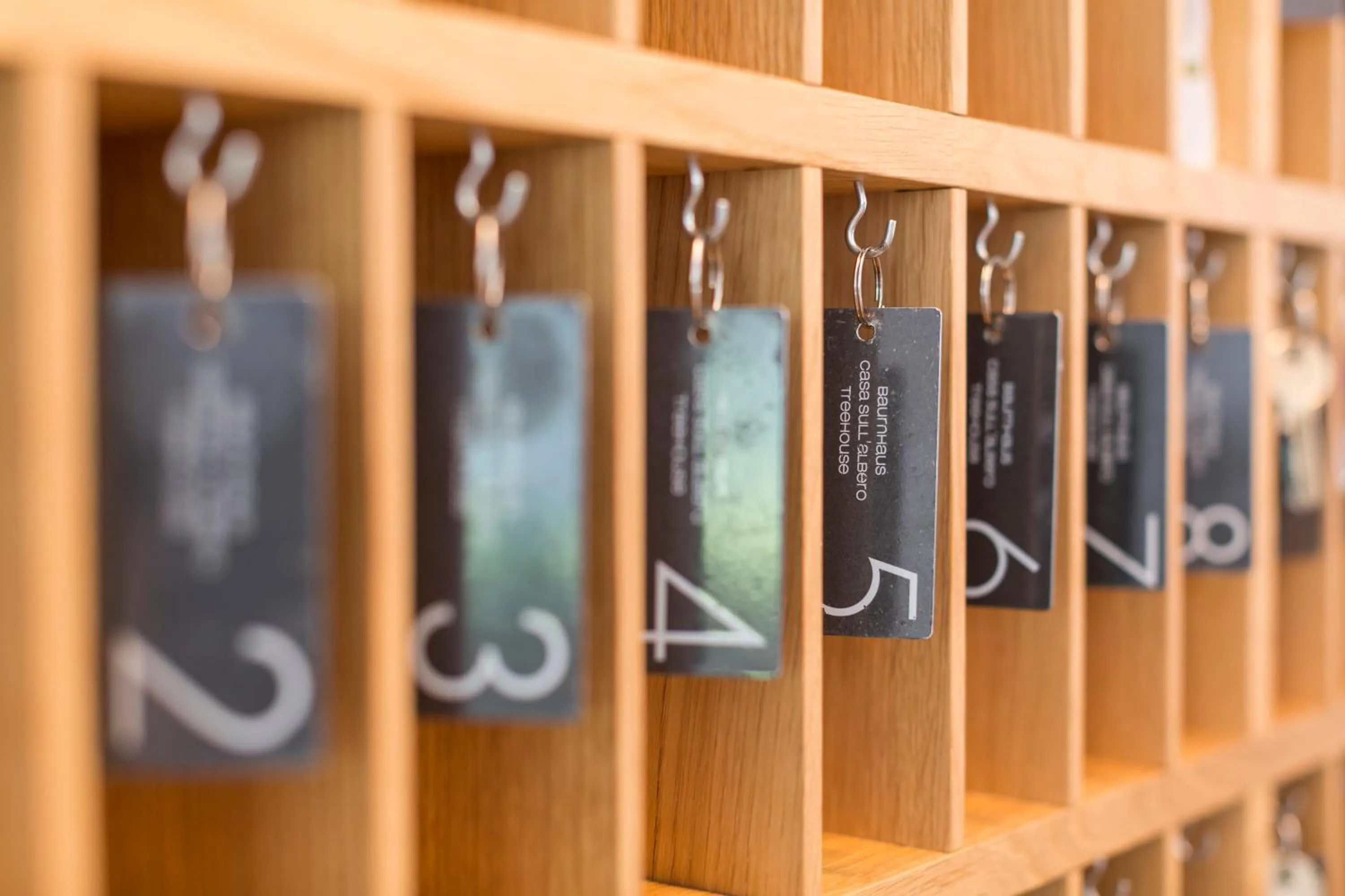 Lobby or reception in Steindl's Boutique Hotel