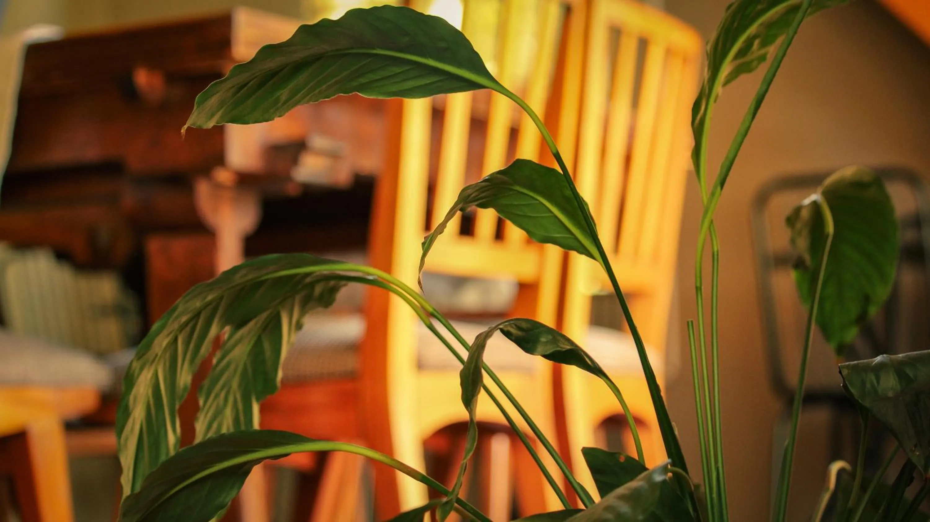 Decorative detail in Wesley House Hosteria Boutique