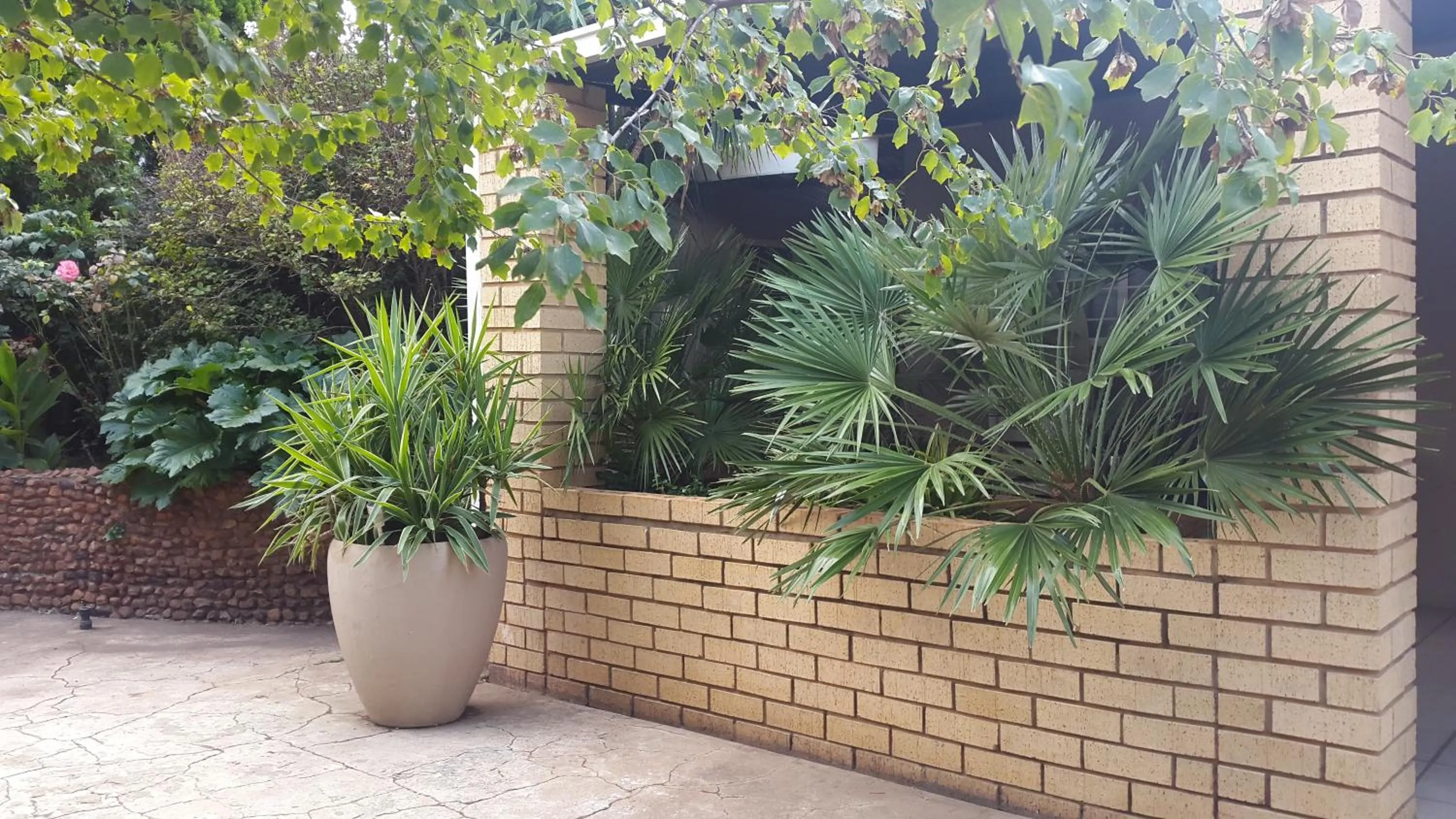 Garden in Mountain View Country Estate