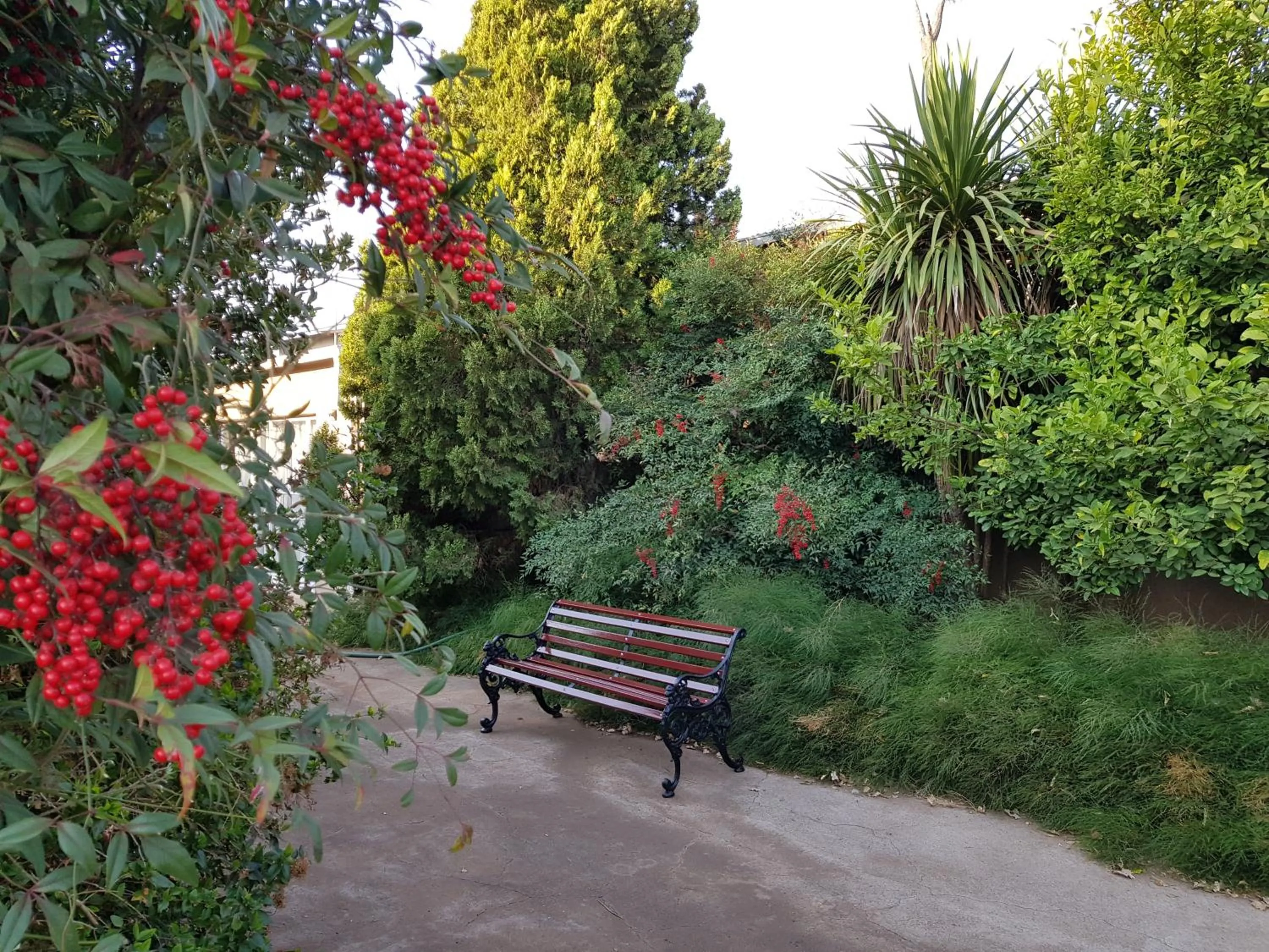 Garden view in Mountain View Country Estate