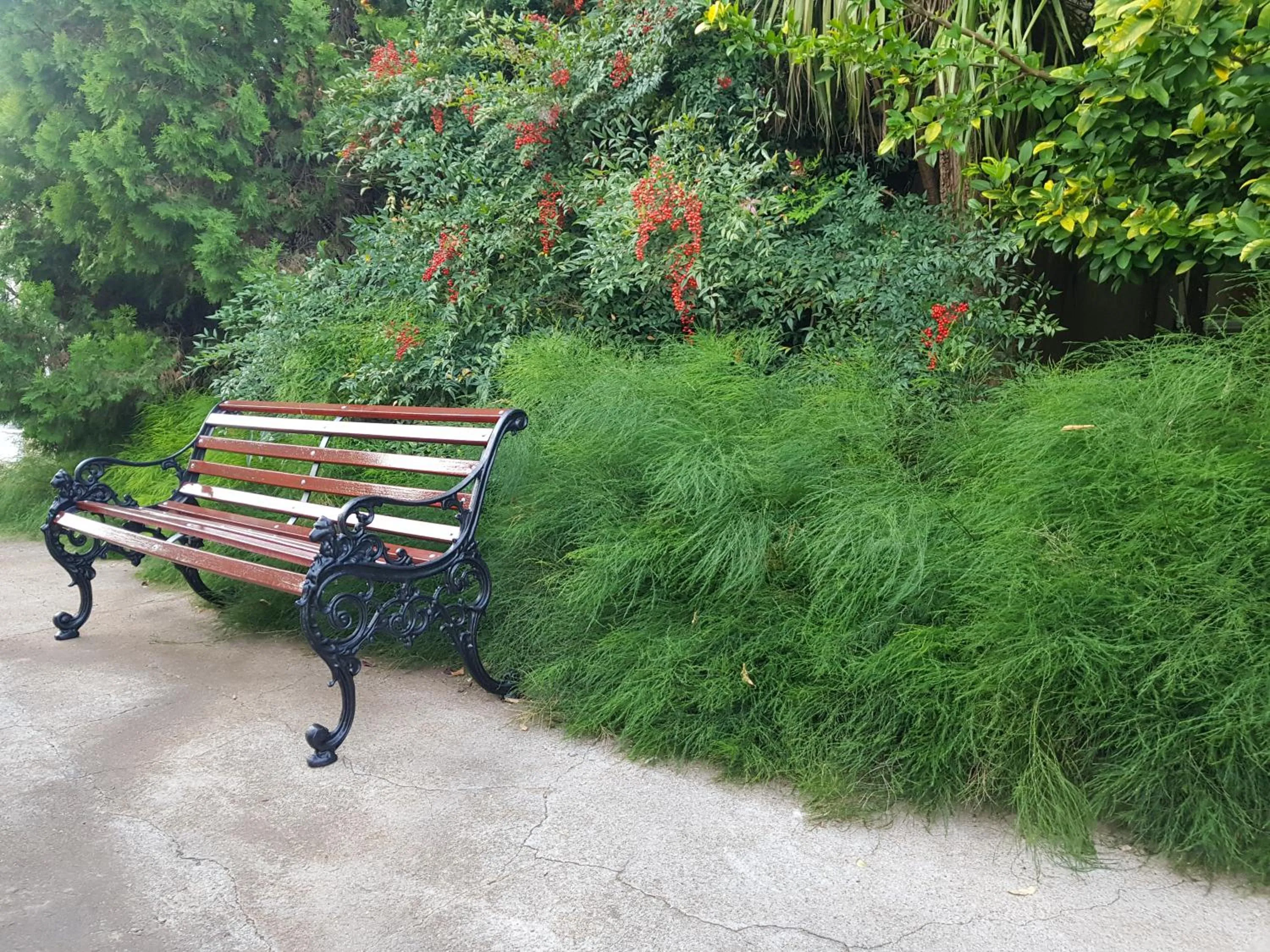 Patio in Mountain View Country Estate