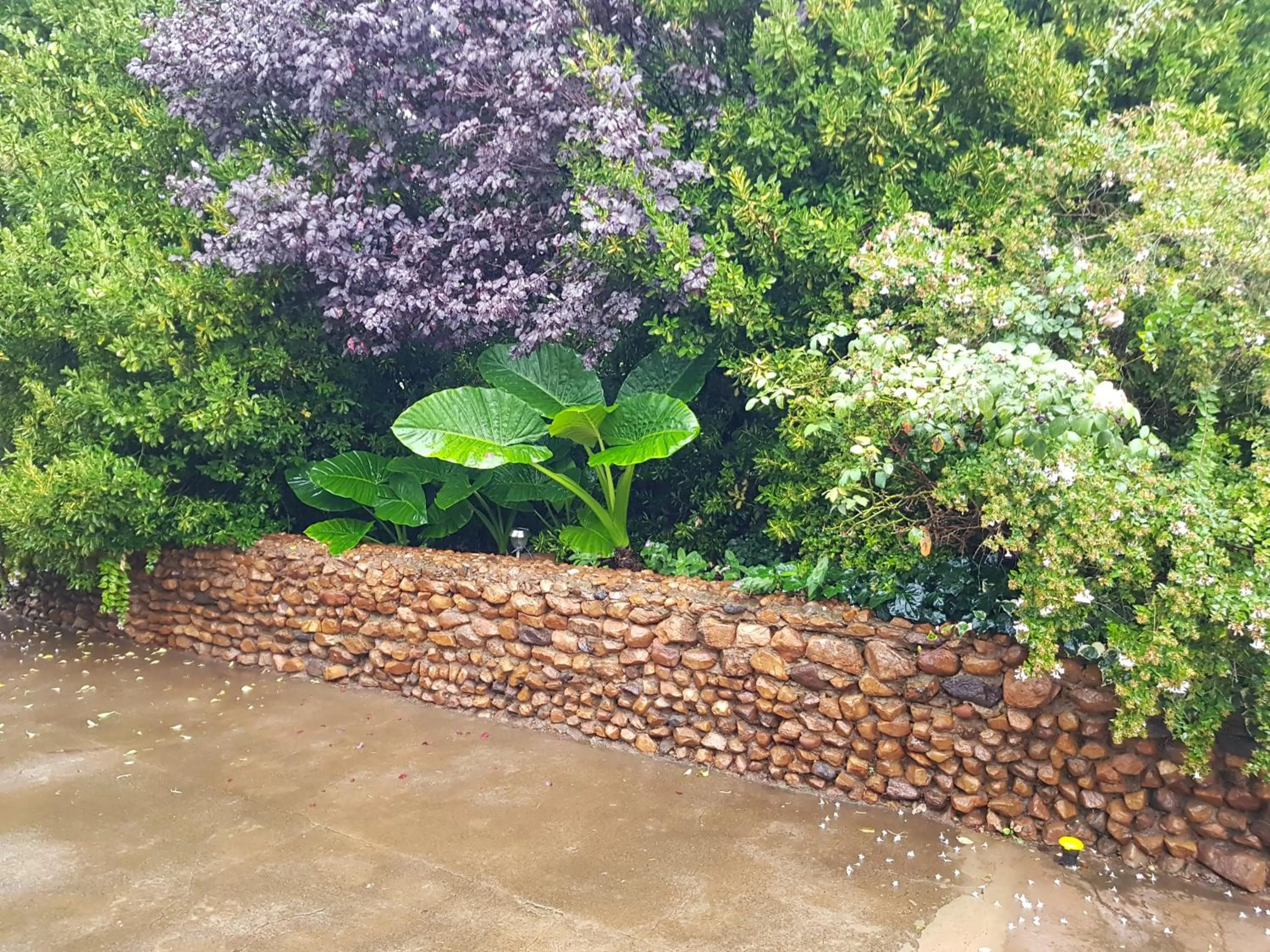Garden in Mountain View Country Estate