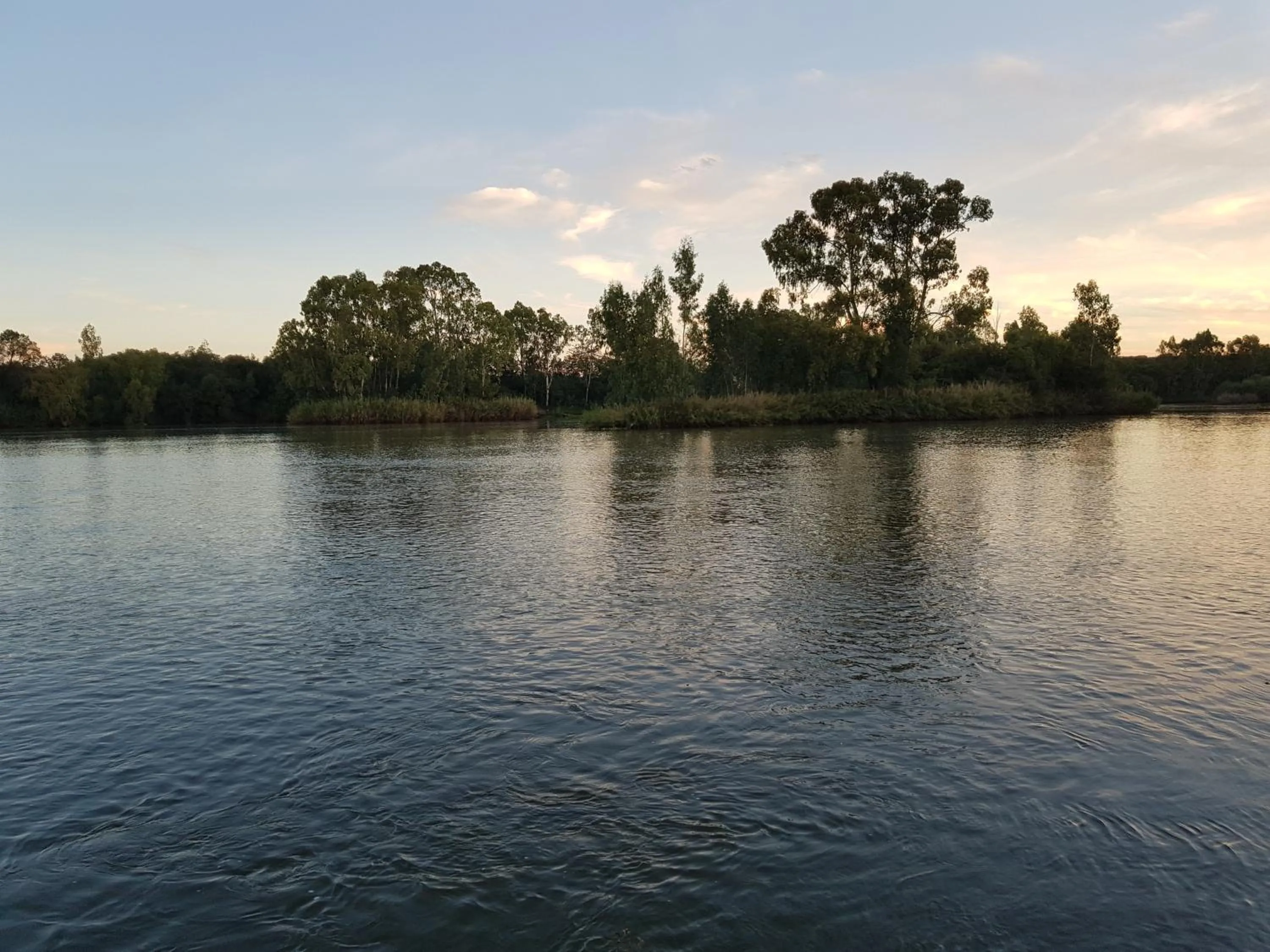 Natural landscape in Mountain View Country Estate