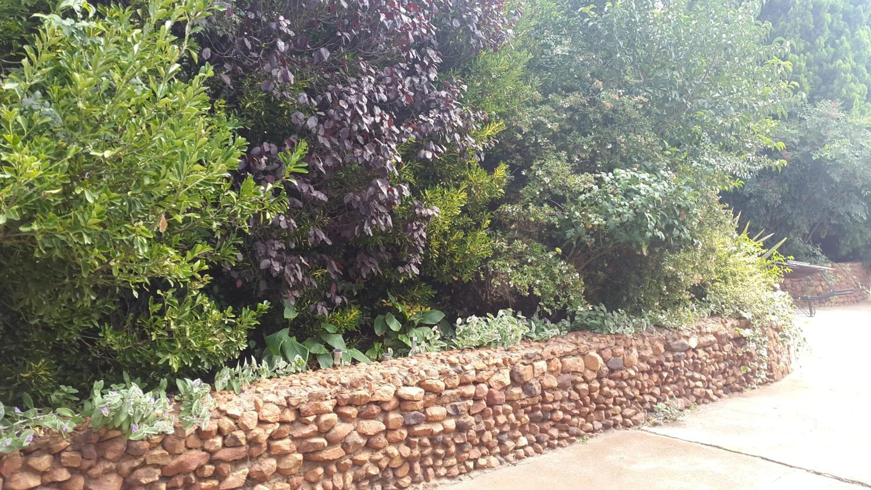 Garden in Mountain View Country Estate