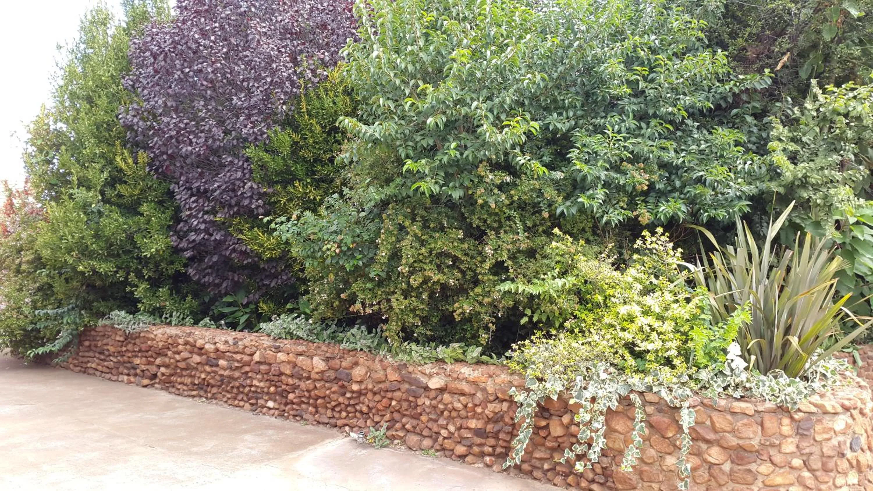 Garden in Mountain View Country Estate