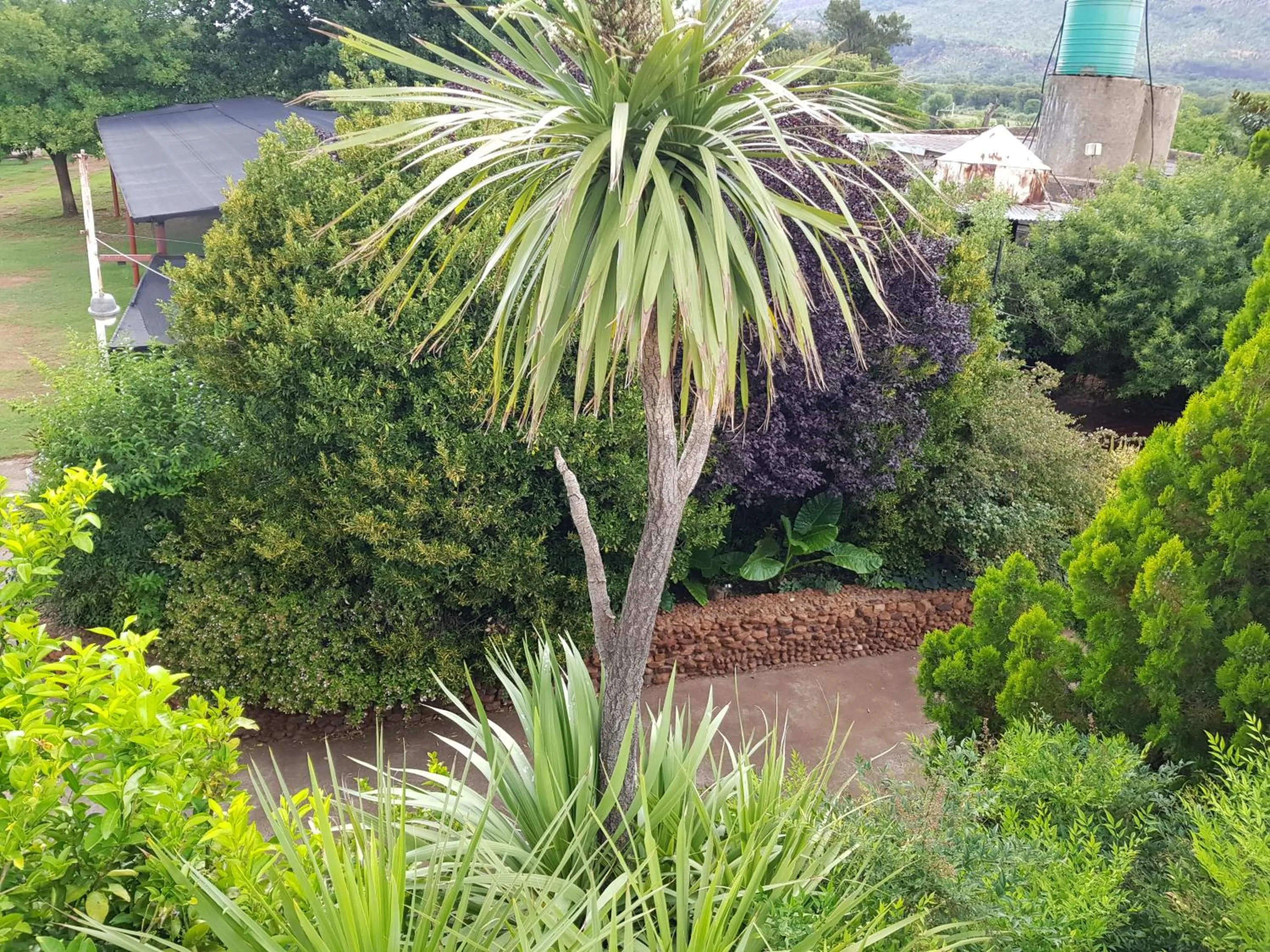 Garden in Mountain View Country Estate