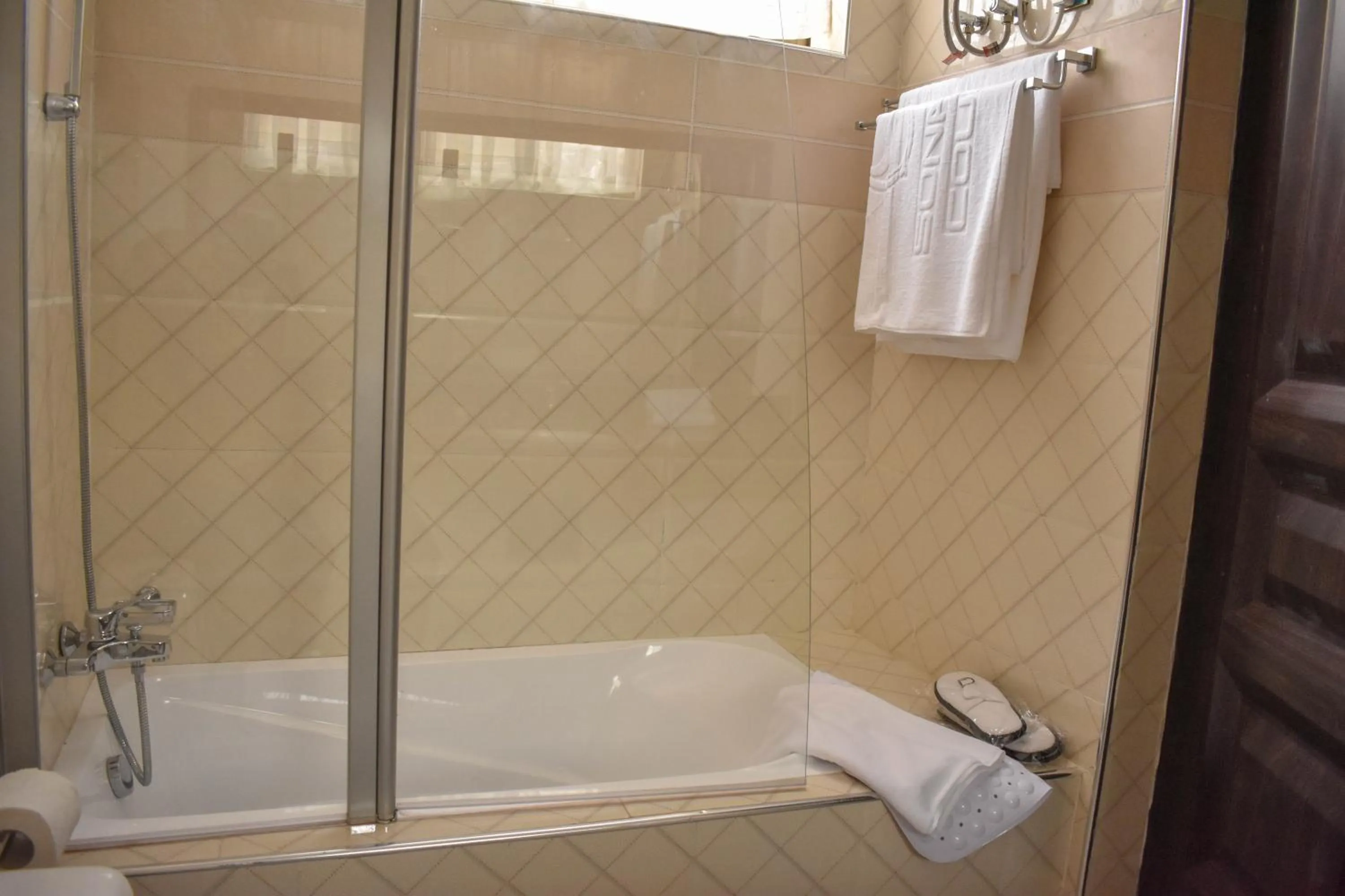 Shower in Sonia Hotel