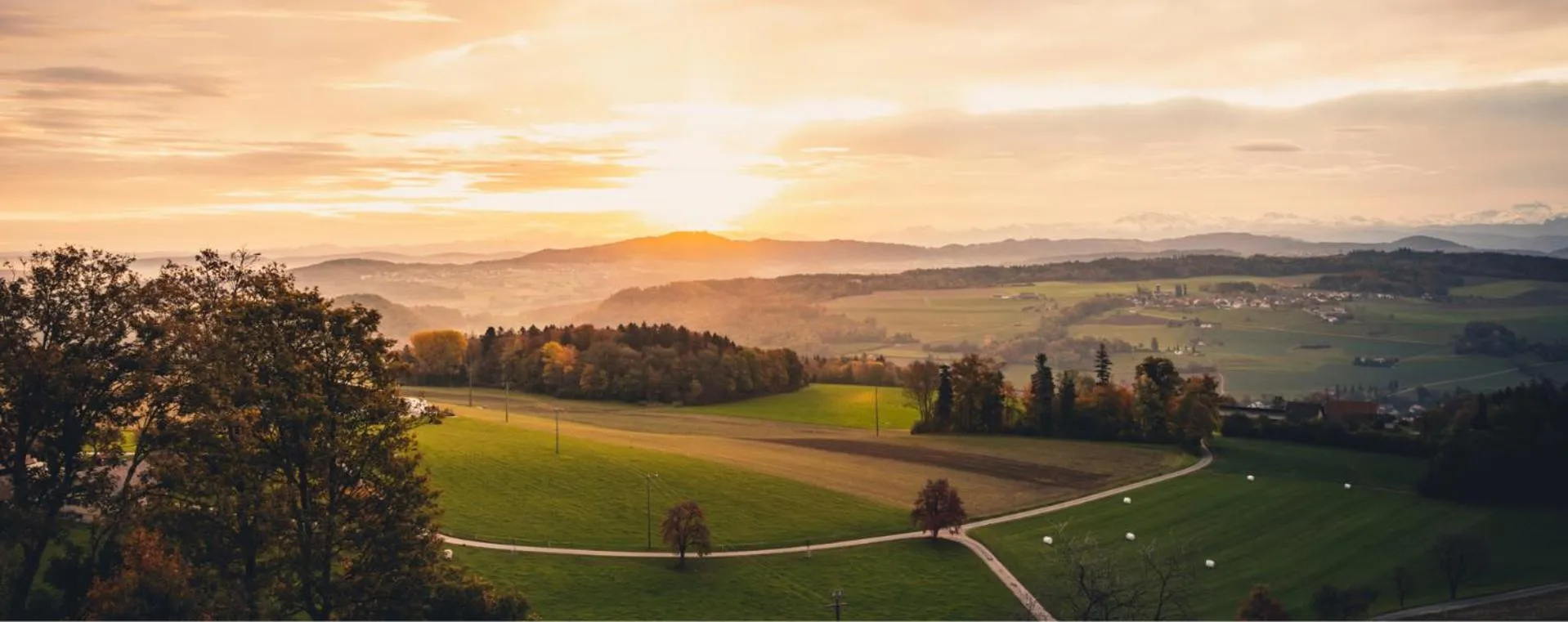 View (from property/room) in Monardo Hasenberg