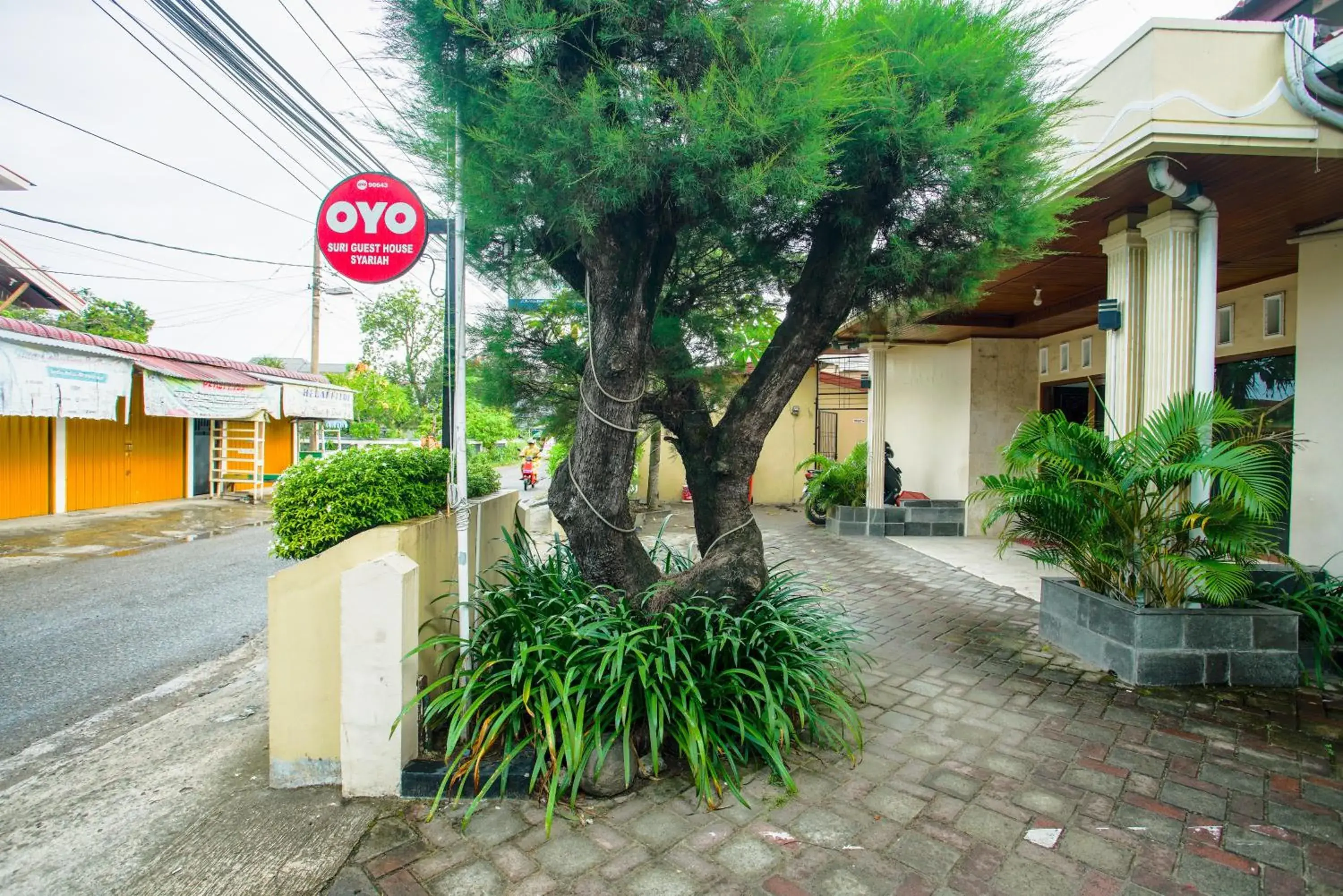 Capital O 90643 Suri Guest House Syariah Capital O 90643 Suri Guest House Syariah