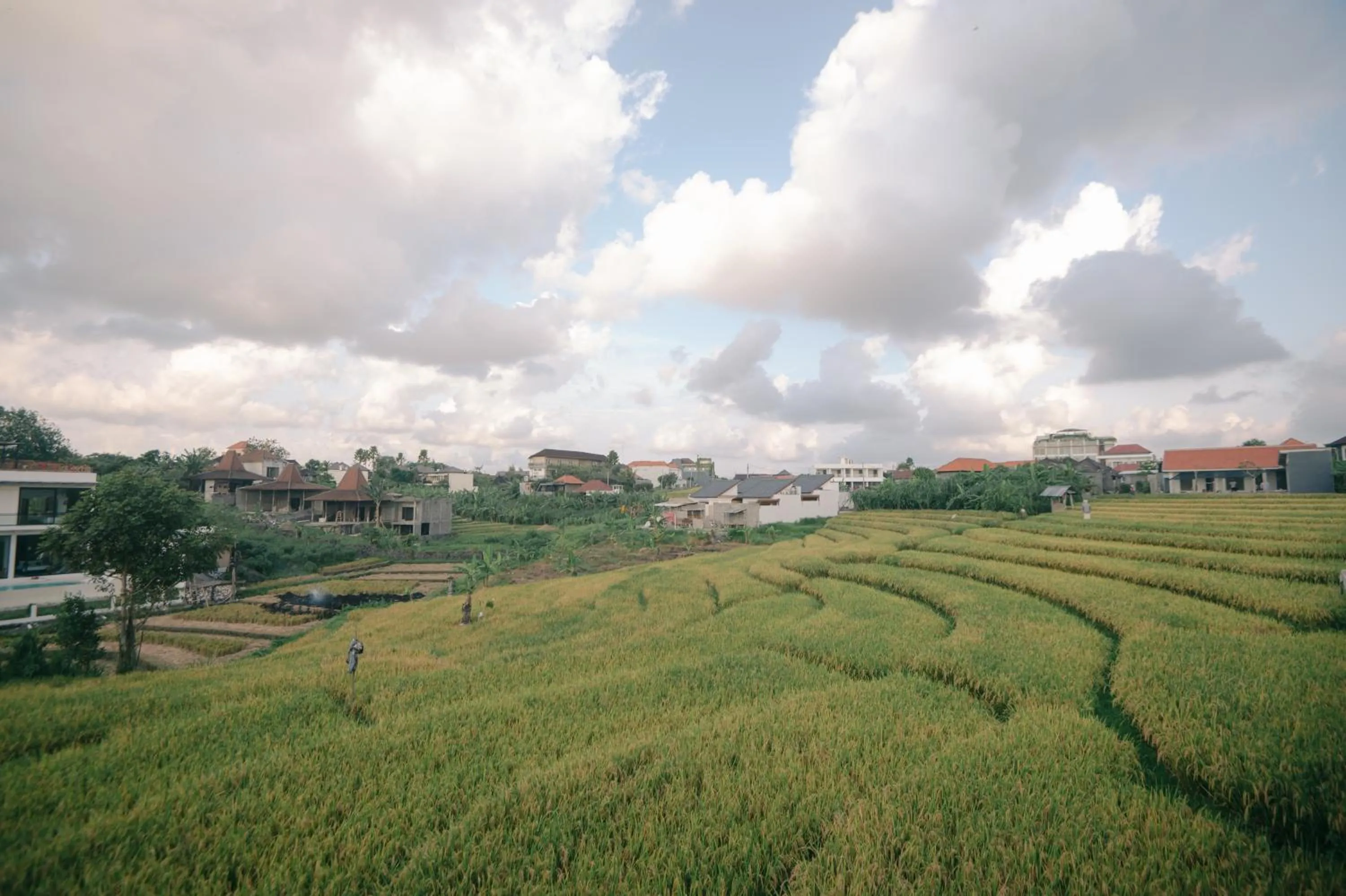 Natural landscape in Musa Canggu