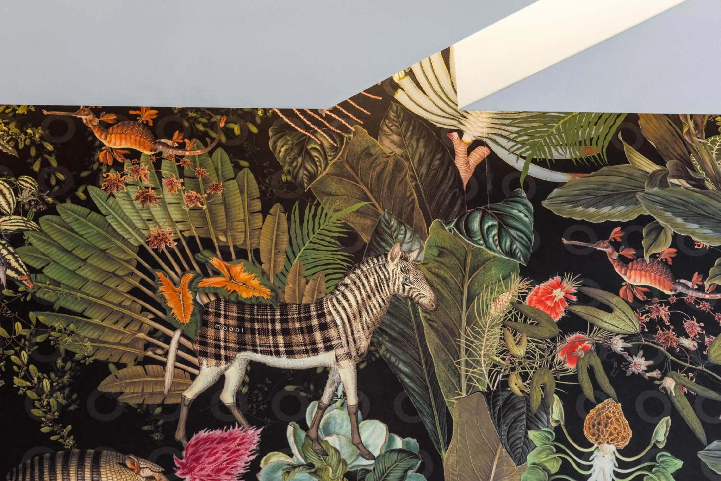 Decorative detail in Le Dortoir Boutique Suites