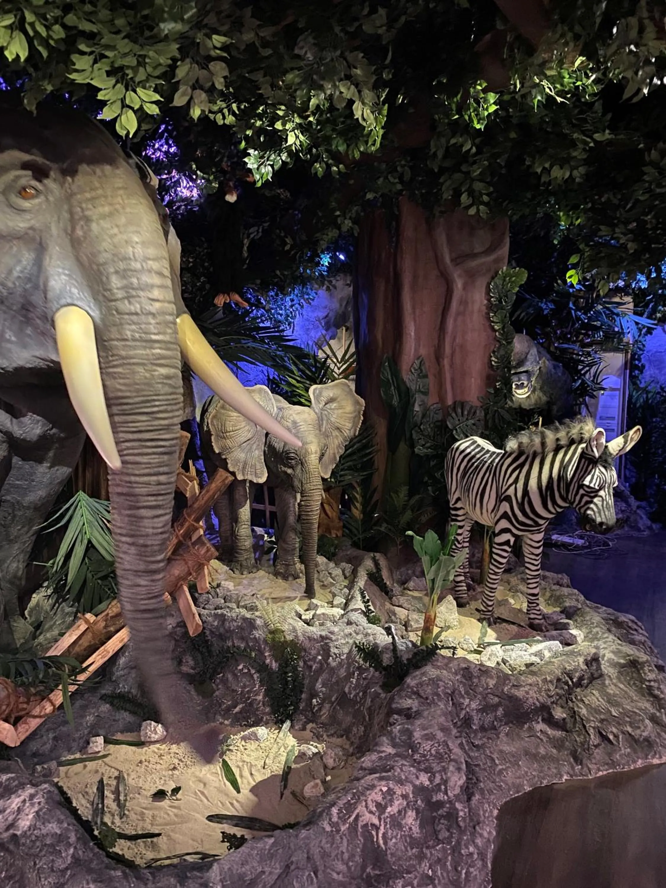 Restaurant/places to eat in Bayside