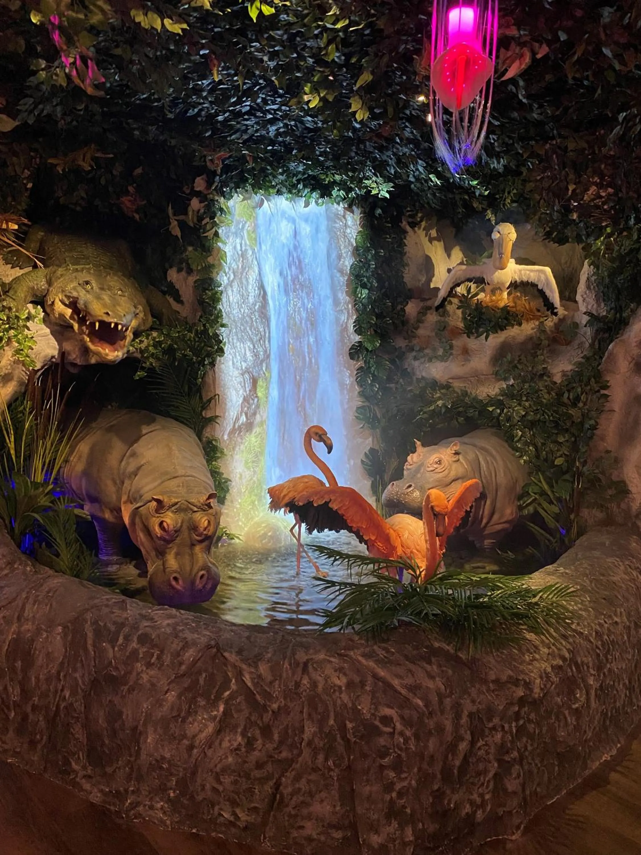 Restaurant/places to eat in Bayside