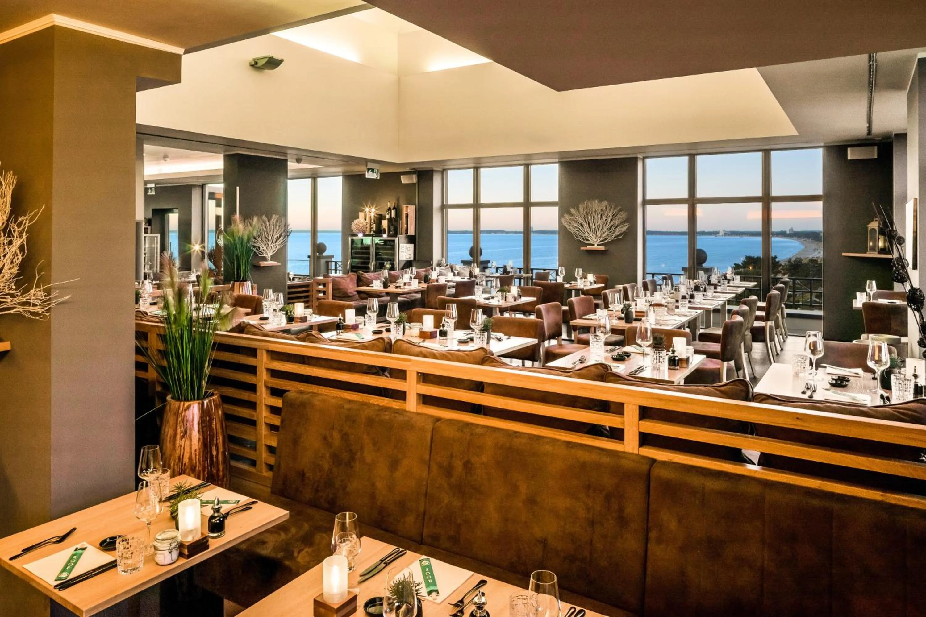 Restaurant/places to eat in Bayside