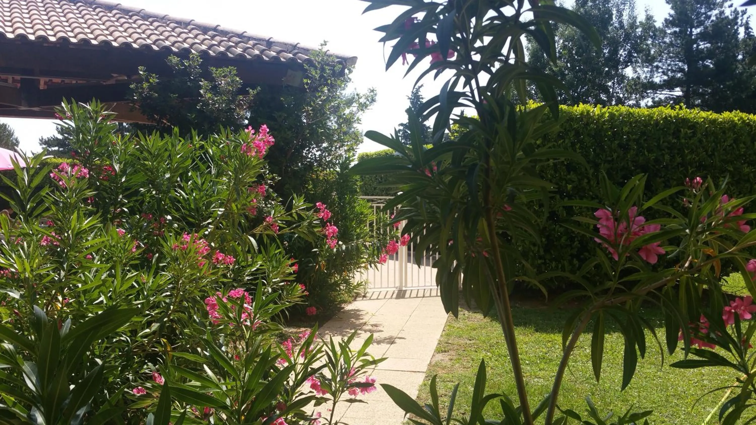 Garden in Hôtel Restaurant Le Mas De L'Olivier