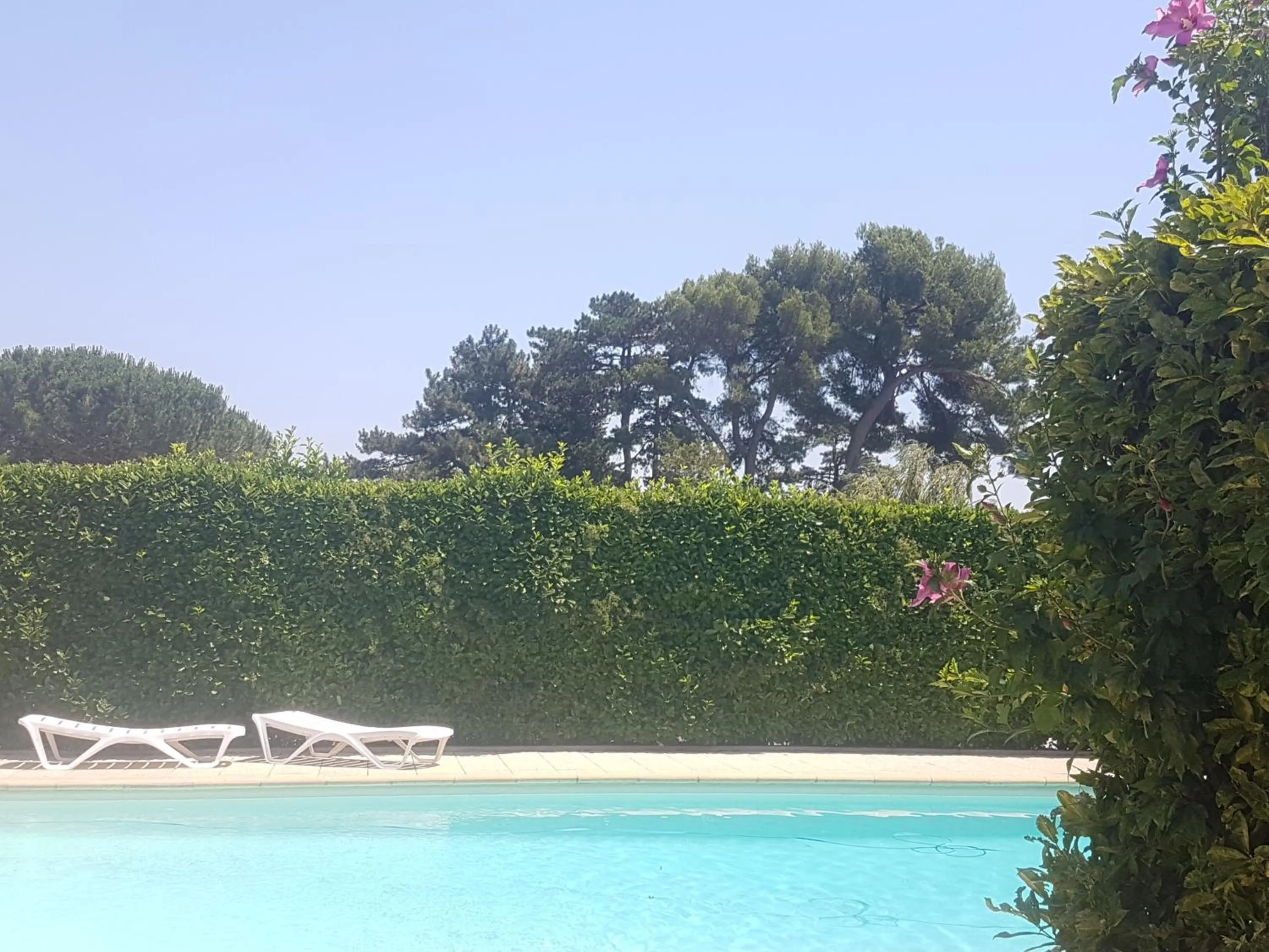 sunbed in Hôtel Restaurant Le Mas De L'Olivier