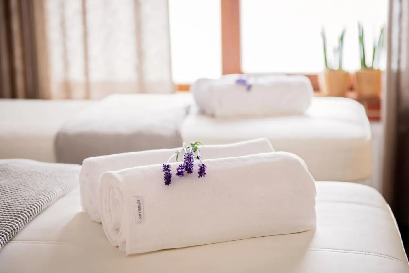 Spa and wellness centre/facilities, Bed in Hotel Szymbark